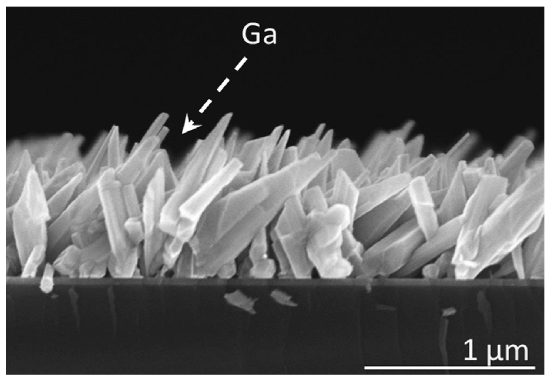Nanomaterials 13 02587 g003 Nanomaterials 13 02587 g003