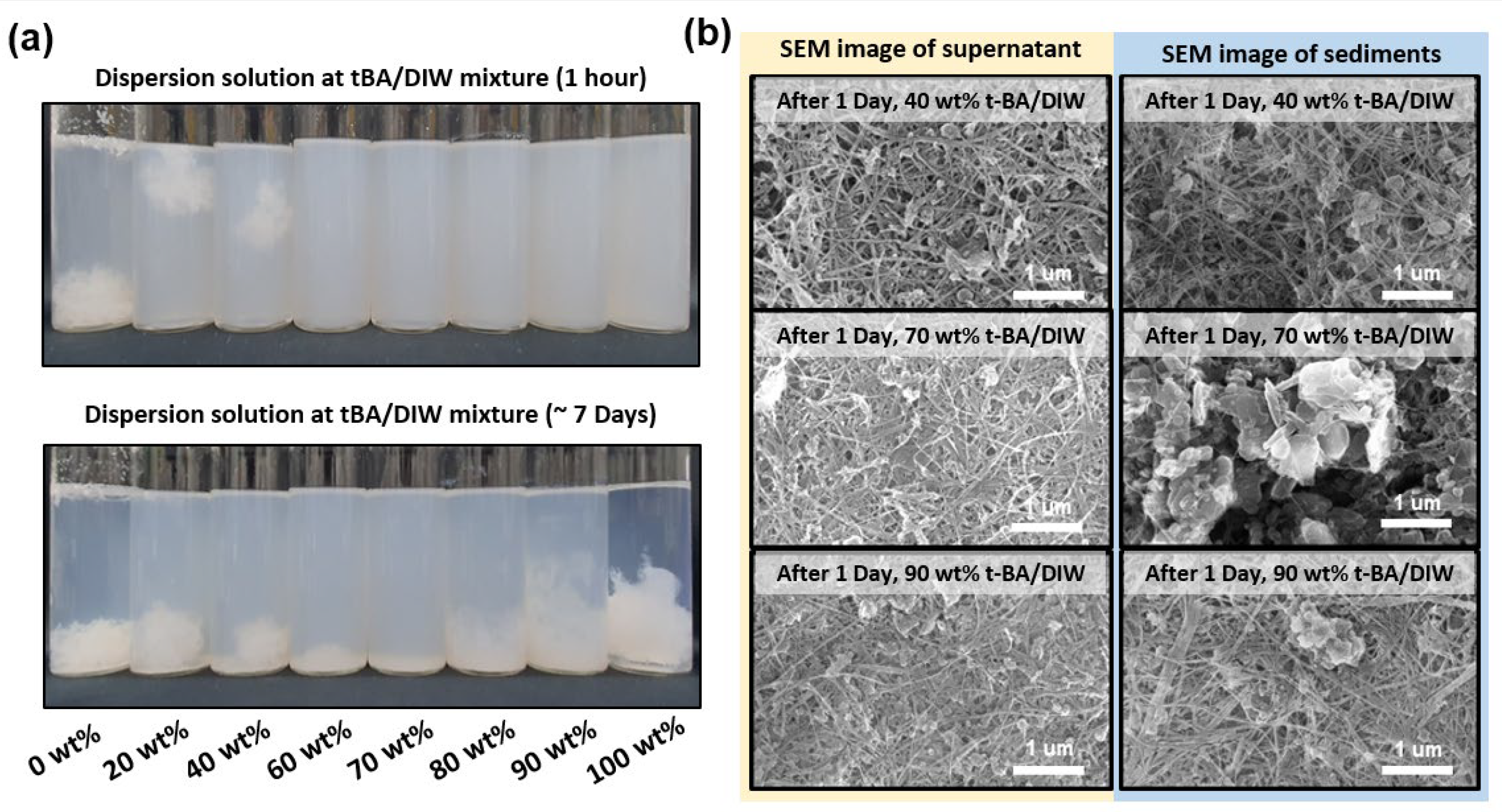 Nanomaterials 13 02593 g002