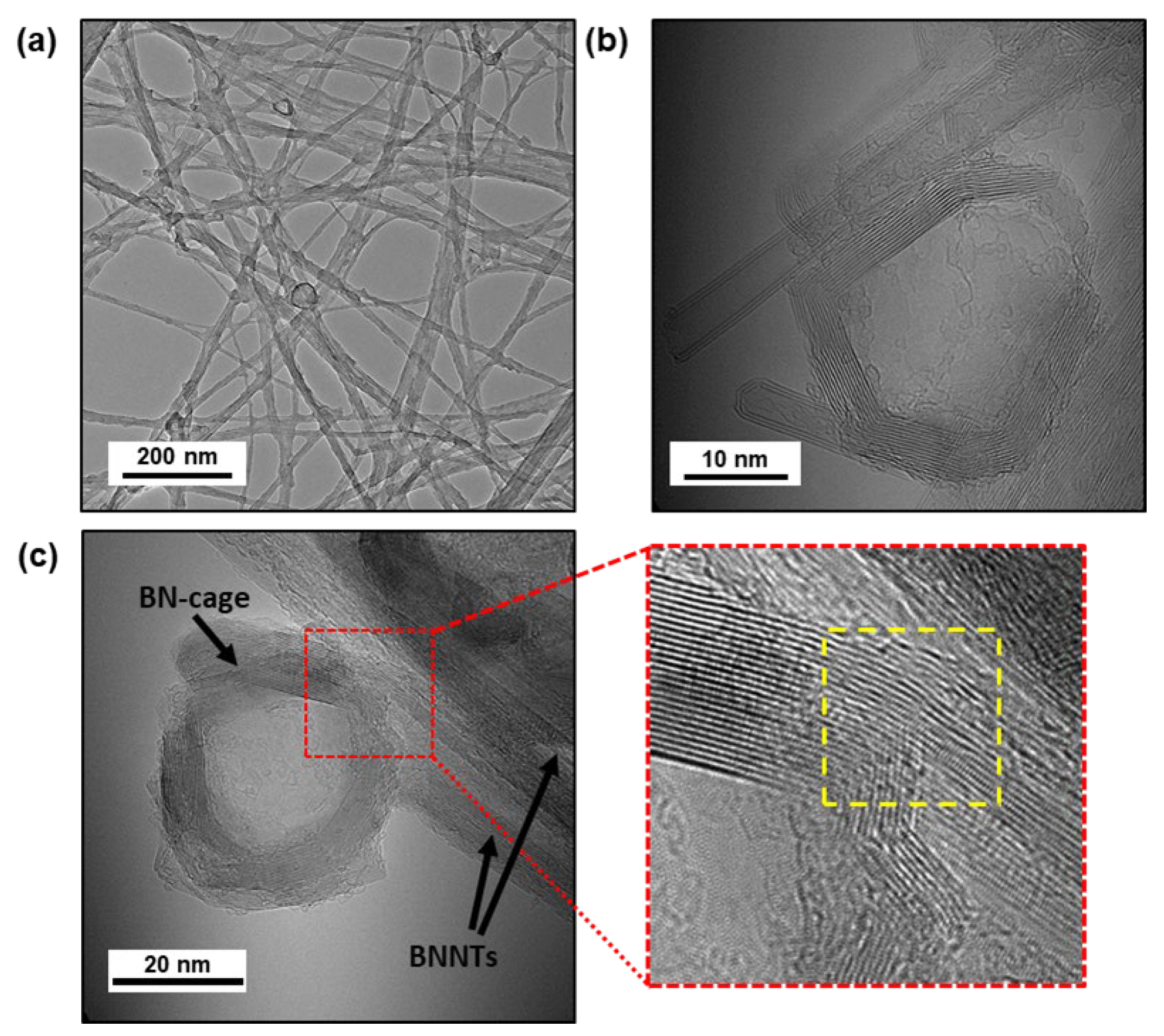 Nanomaterials 13 02593 g005