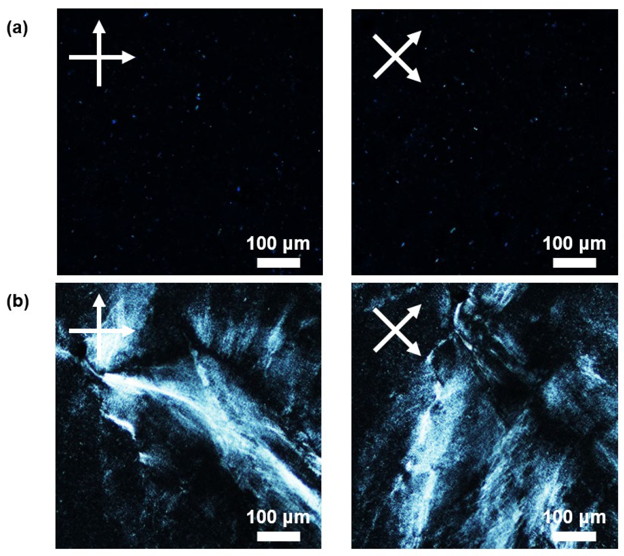 Nanomaterials 13 02593 g006