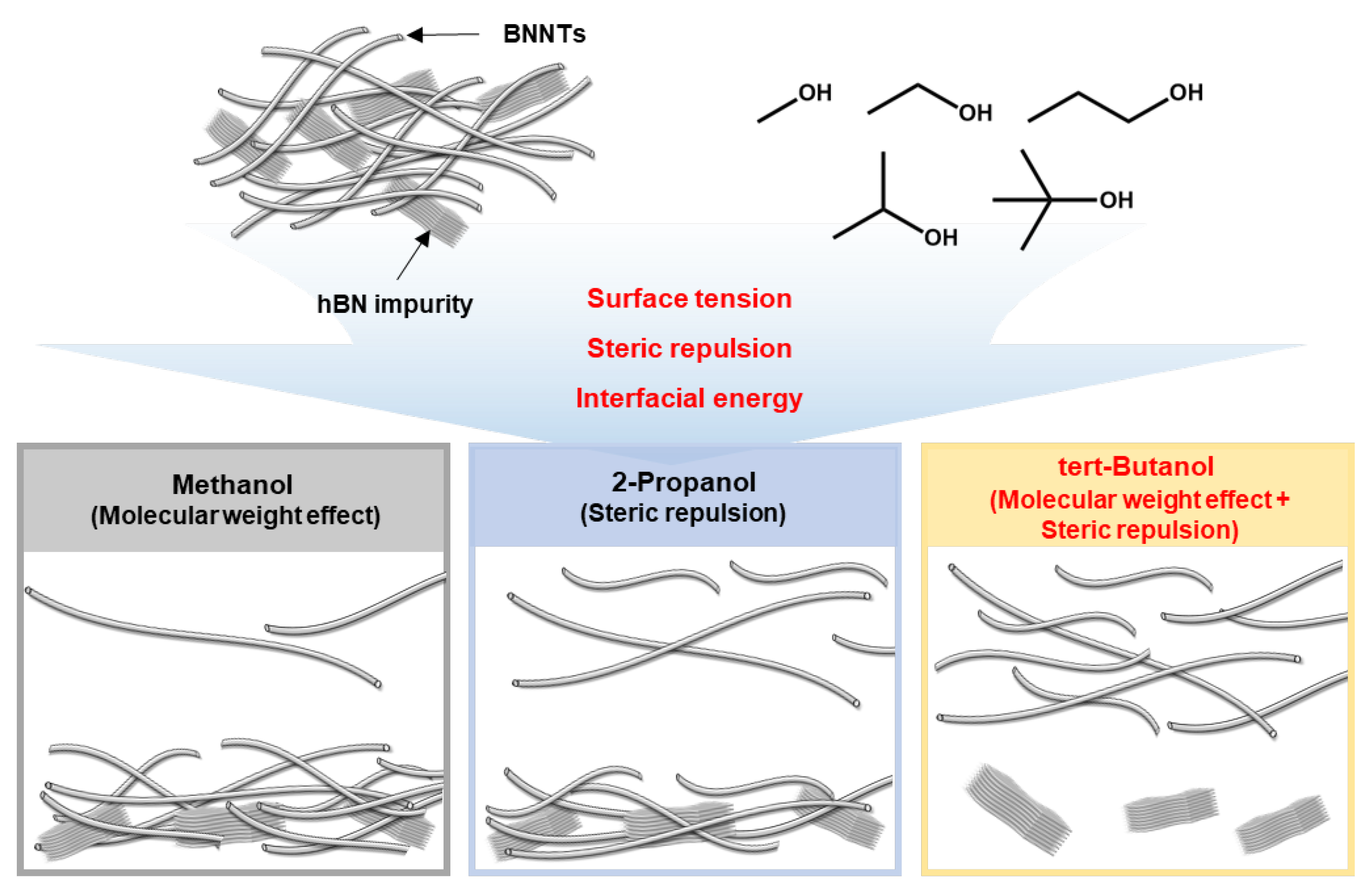 Nanomaterials 13 02593 sch001