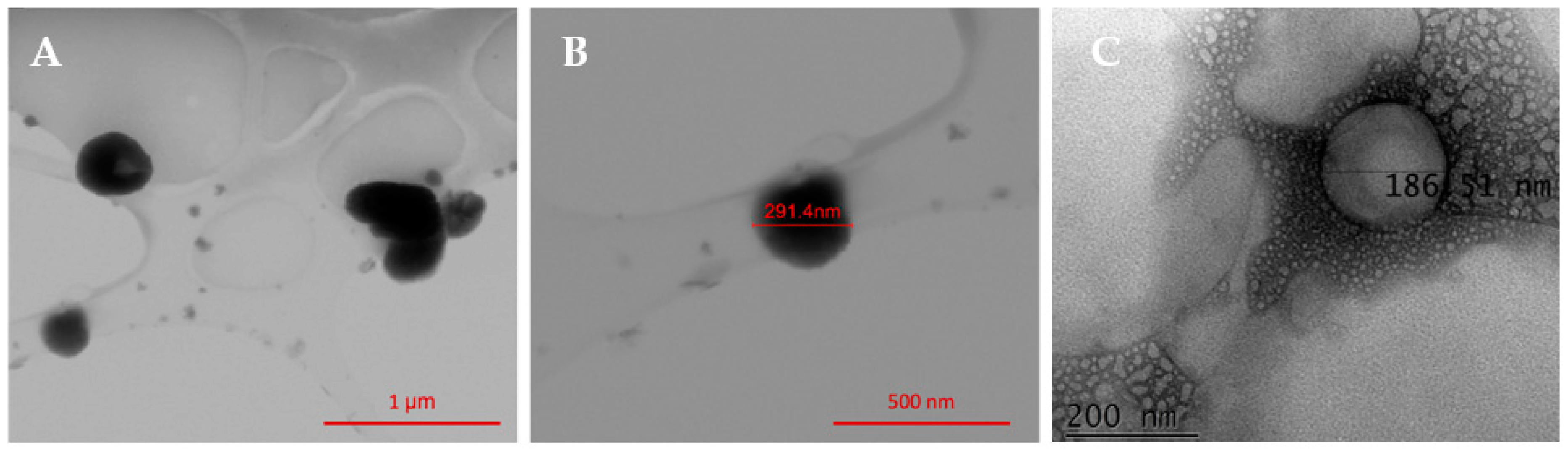 Nanomaterials 13 02597 g007