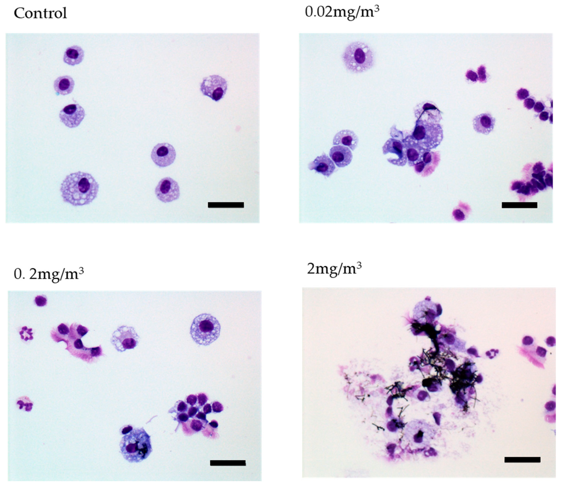 Nanomaterials 13 02598 g007