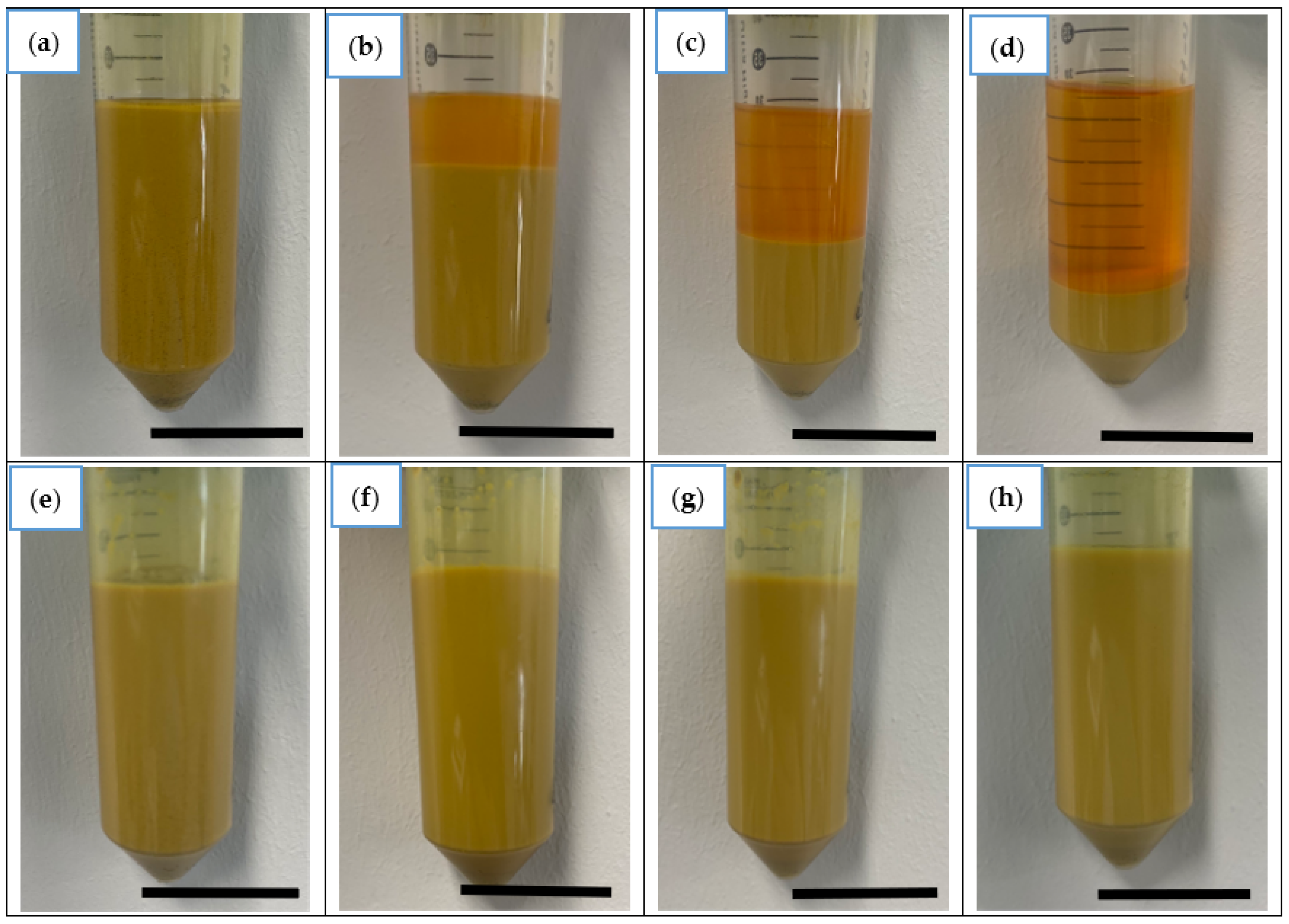 Nanomaterials 13 02601 g002