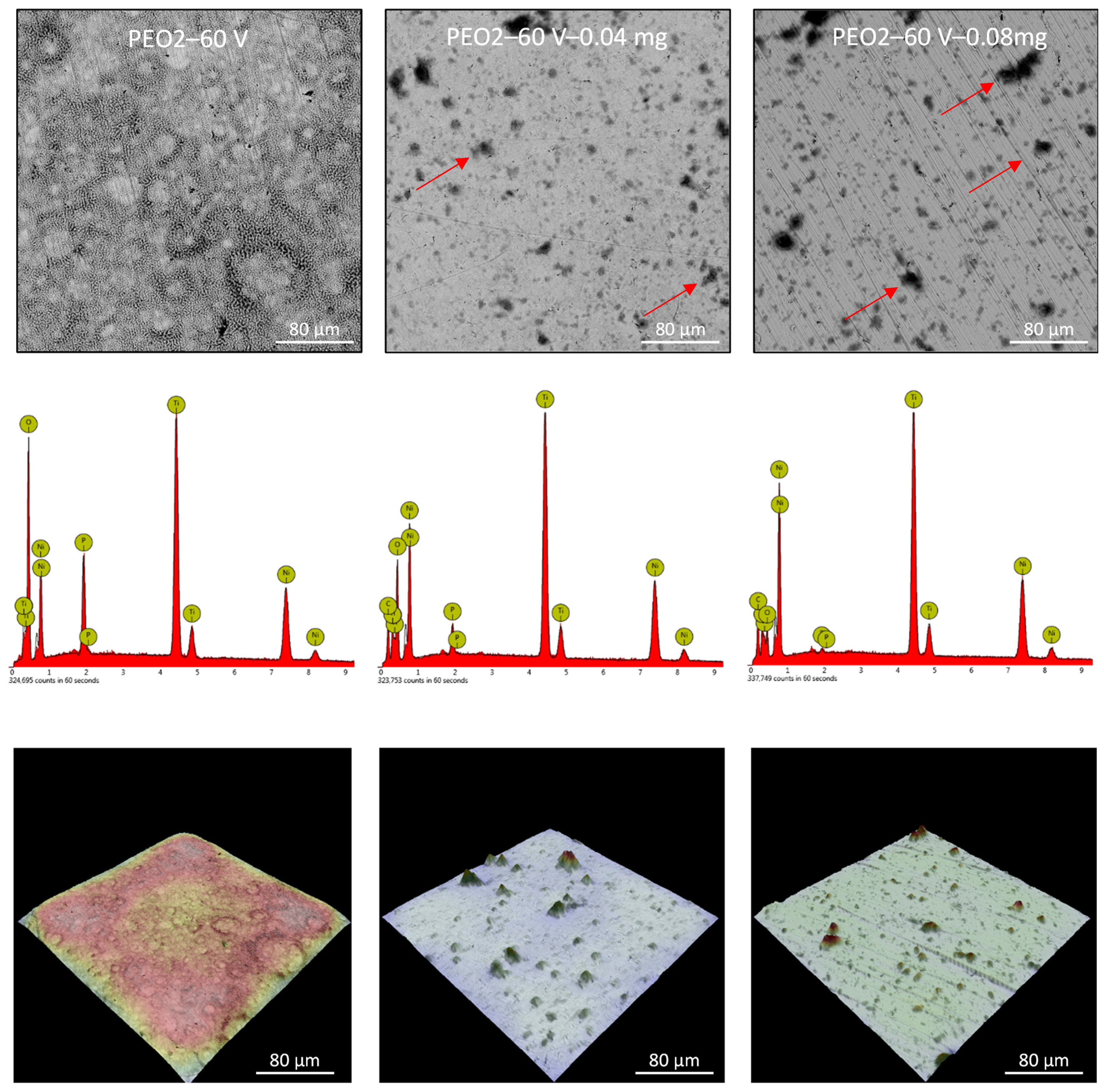 Nanomaterials 13 02601 g005