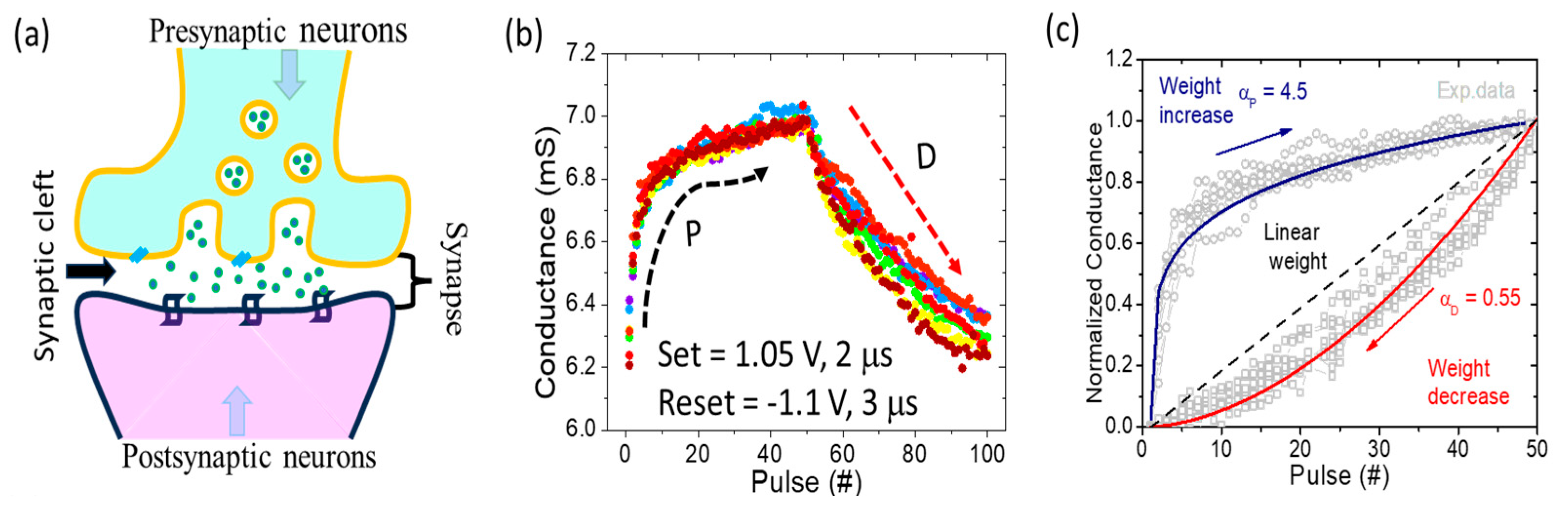 Nanomaterials 13 02603 g006