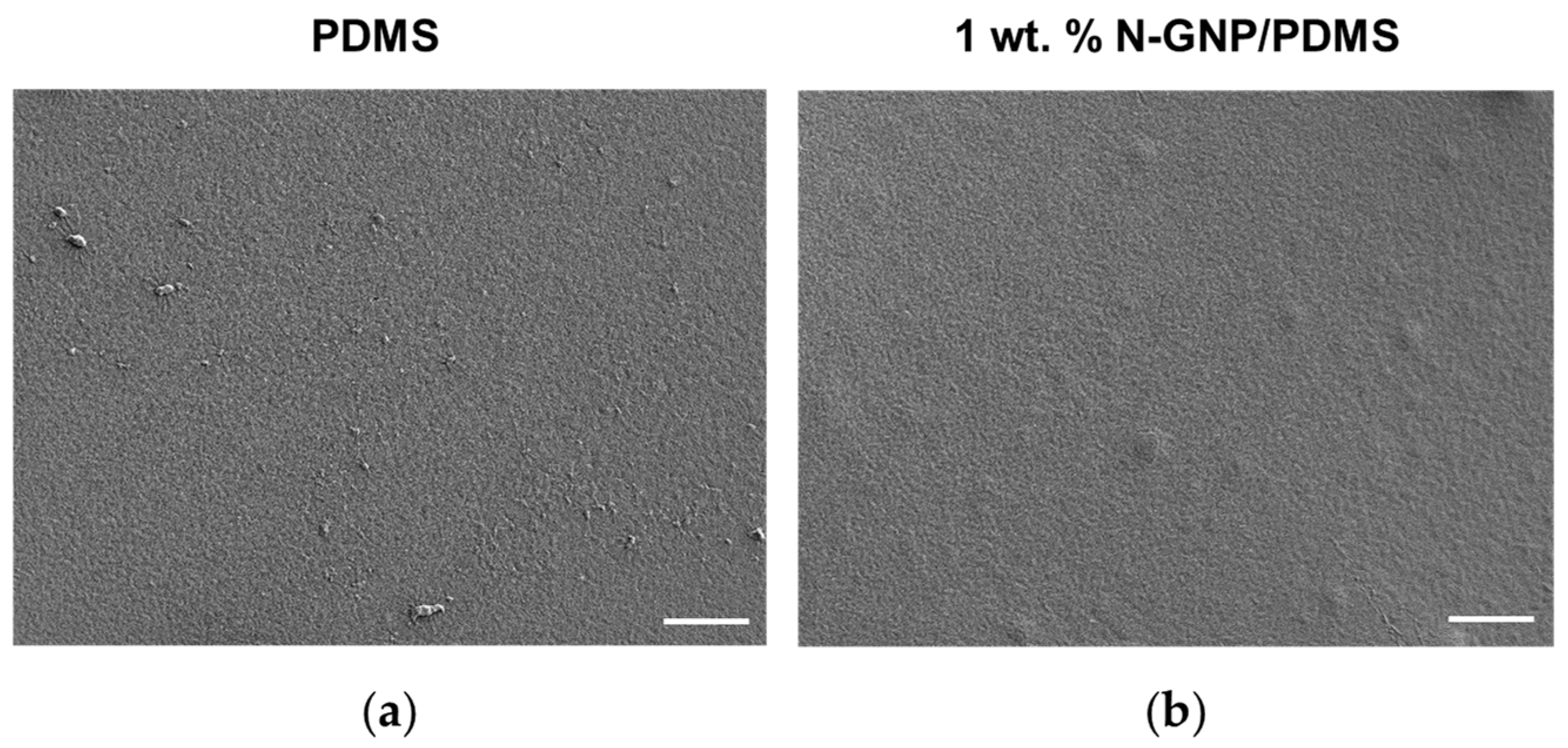 Nanomaterials 13 02604 g002