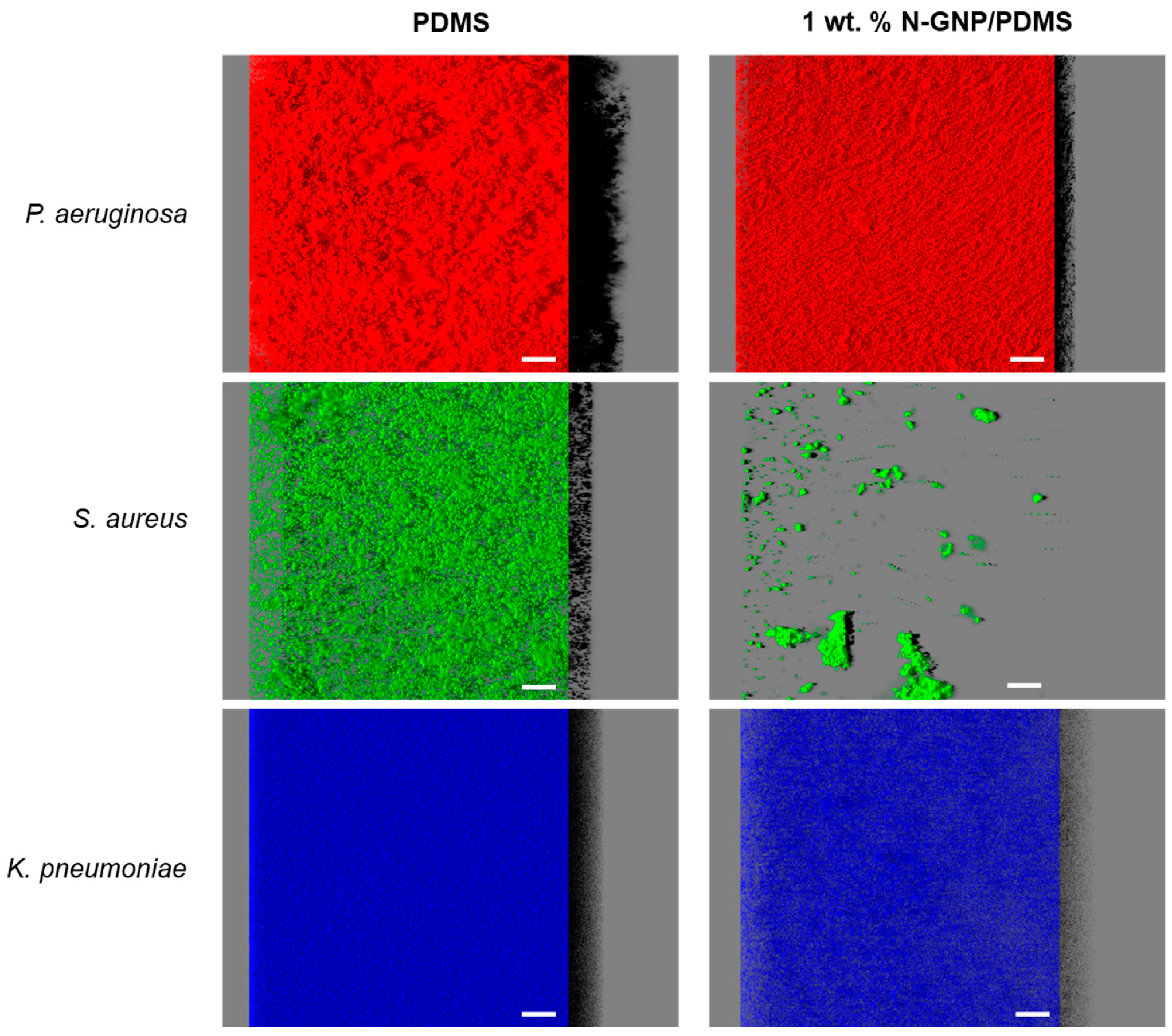 Nanomaterials 13 02604 g006