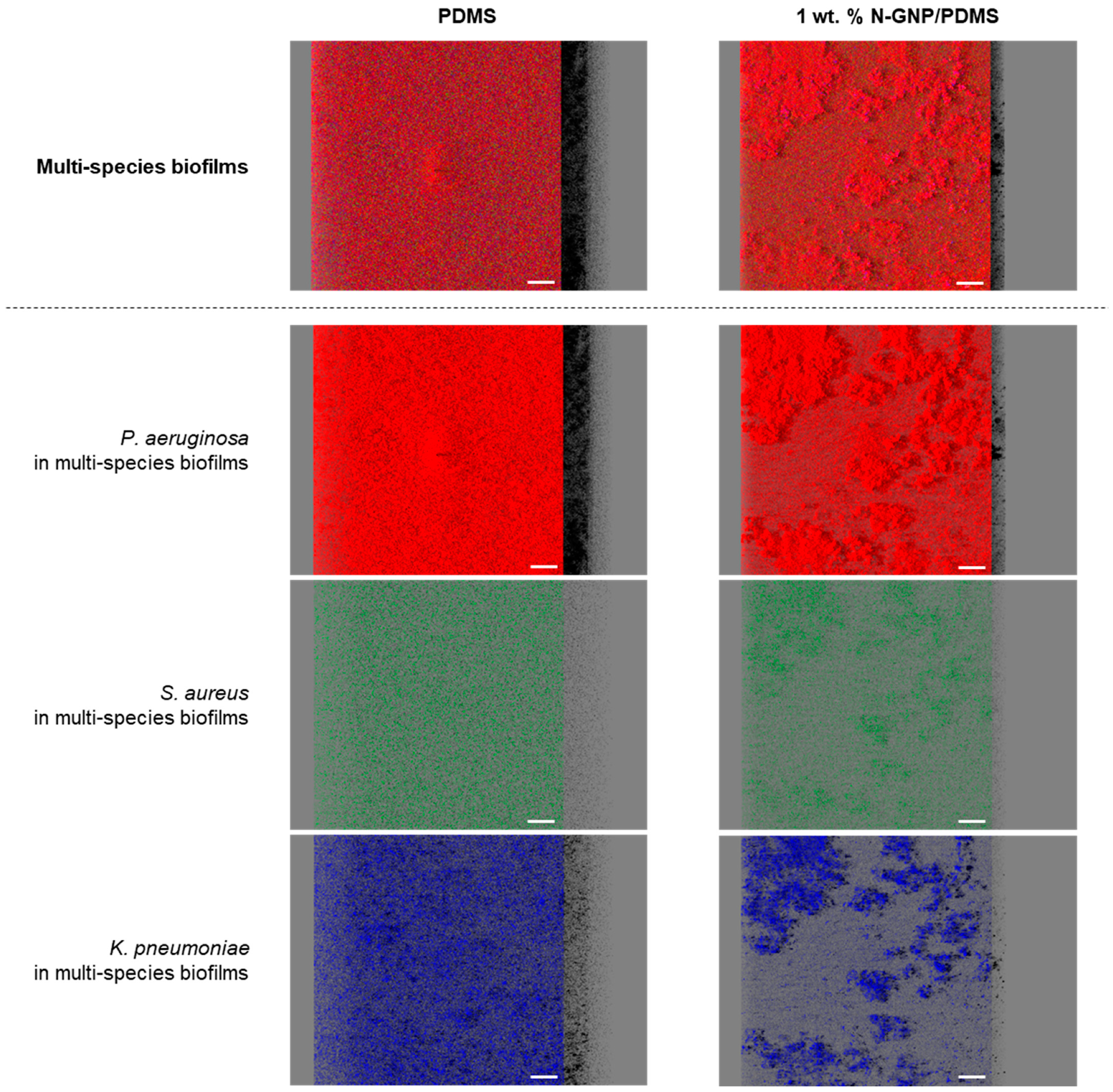 Nanomaterials 13 02604 g008