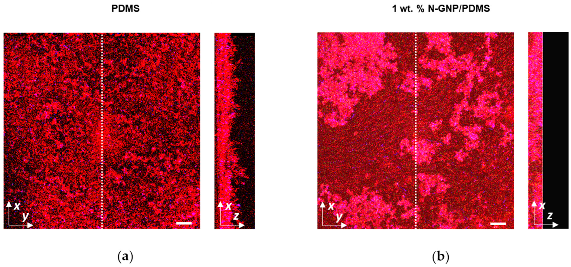 Nanomaterials 13 02604 g009