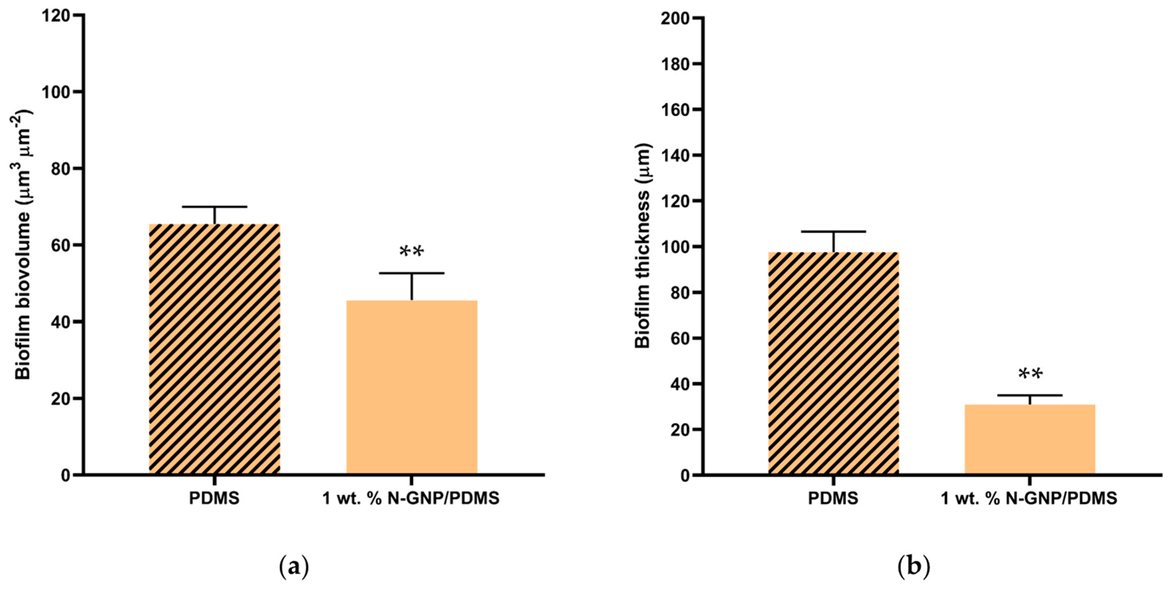 Nanomaterials 13 02604 g010