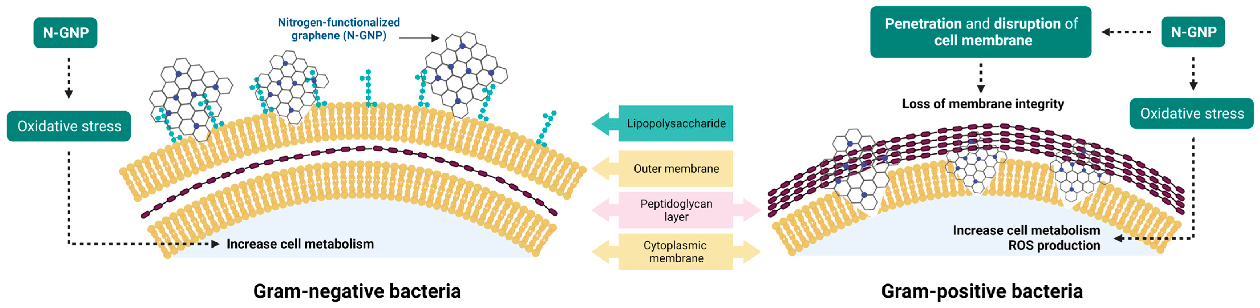 Nanomaterials 13 02604 g015