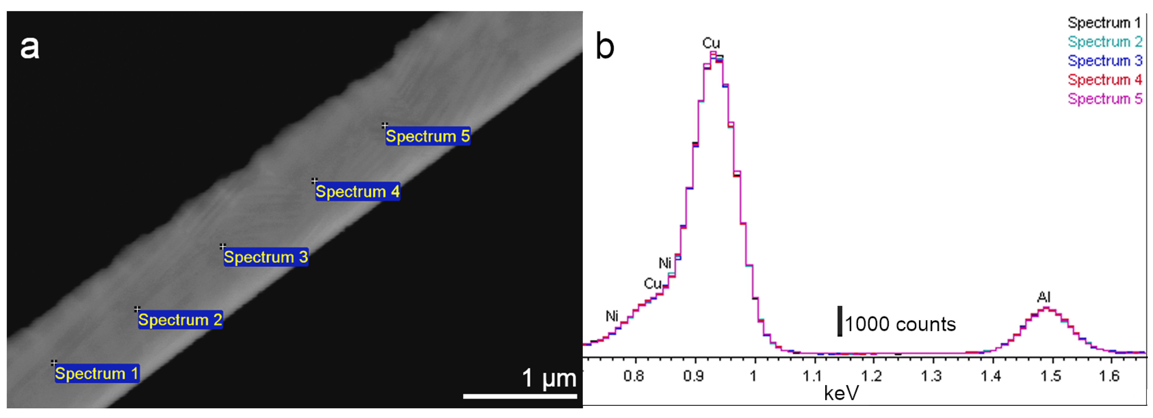 Nanomaterials 13 02605 g003