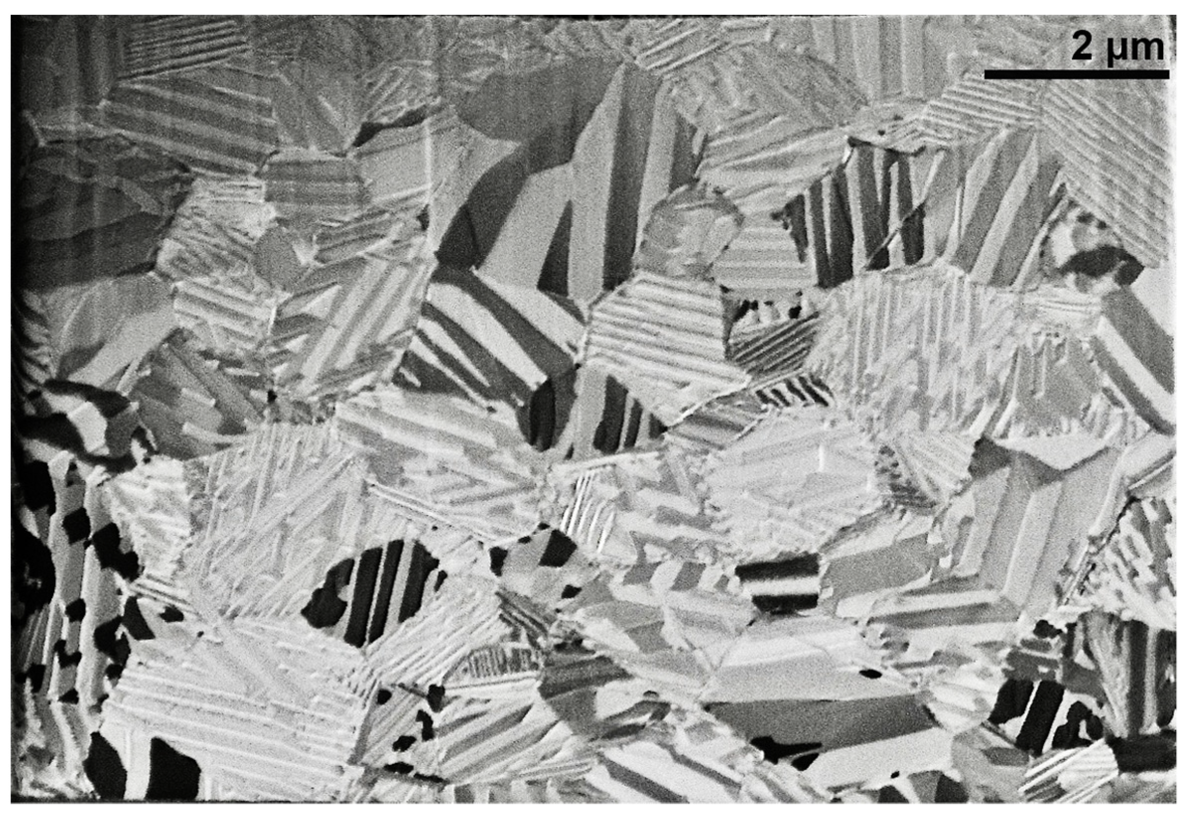 Nanomaterials 13 02605 g005