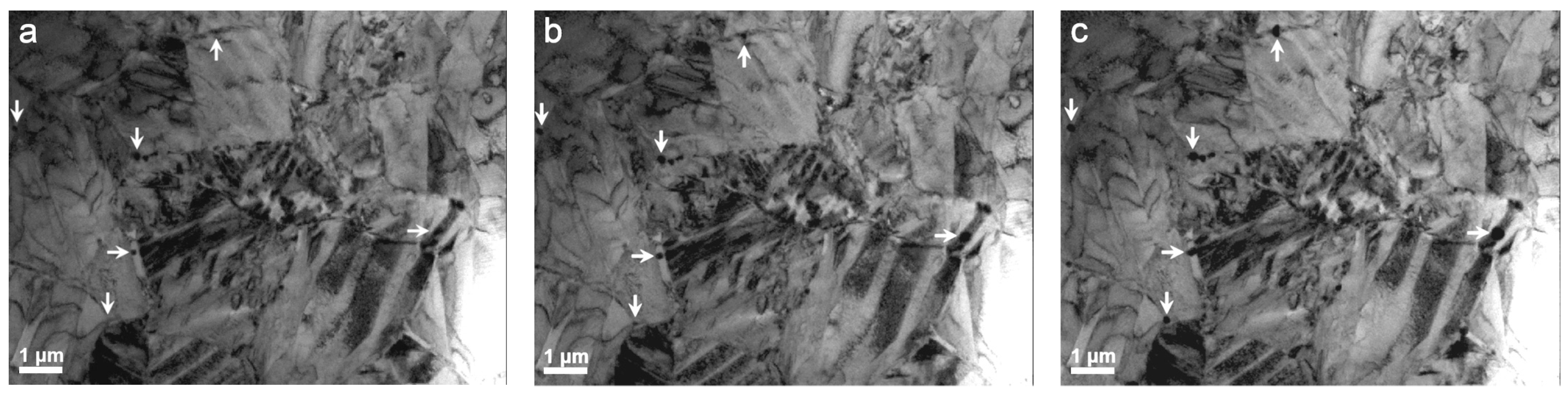 Nanomaterials 13 02605 g008