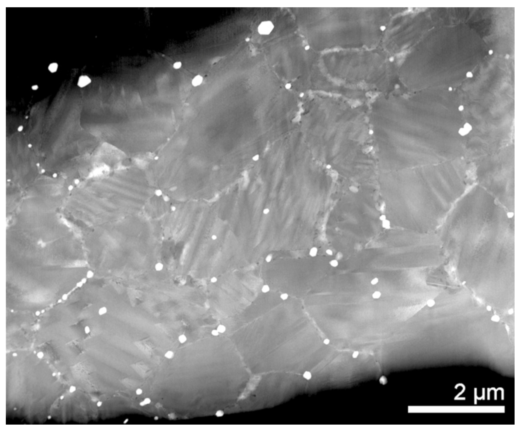 Nanomaterials 13 02605 g009