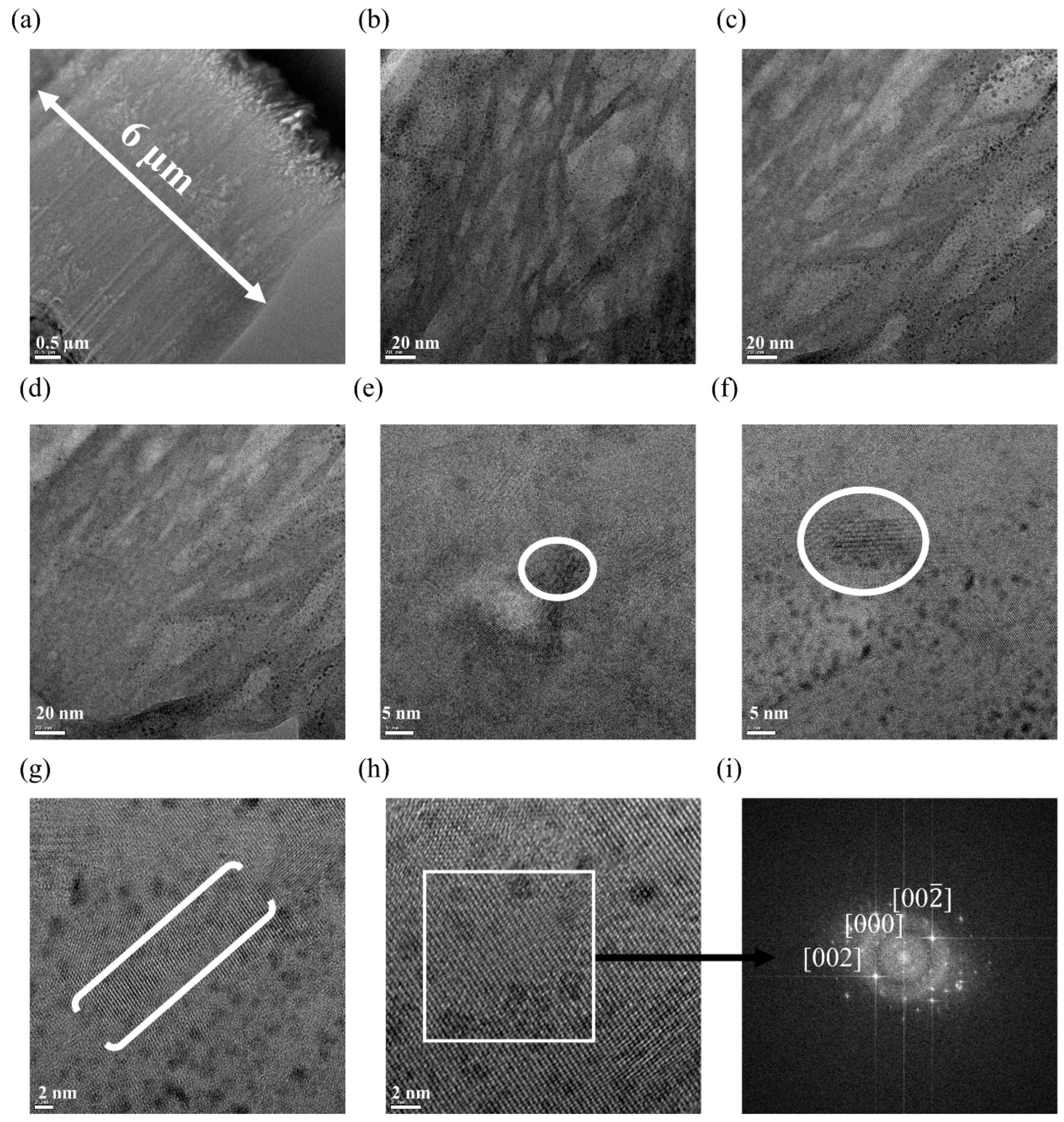 Nanomaterials 13 02606 g003