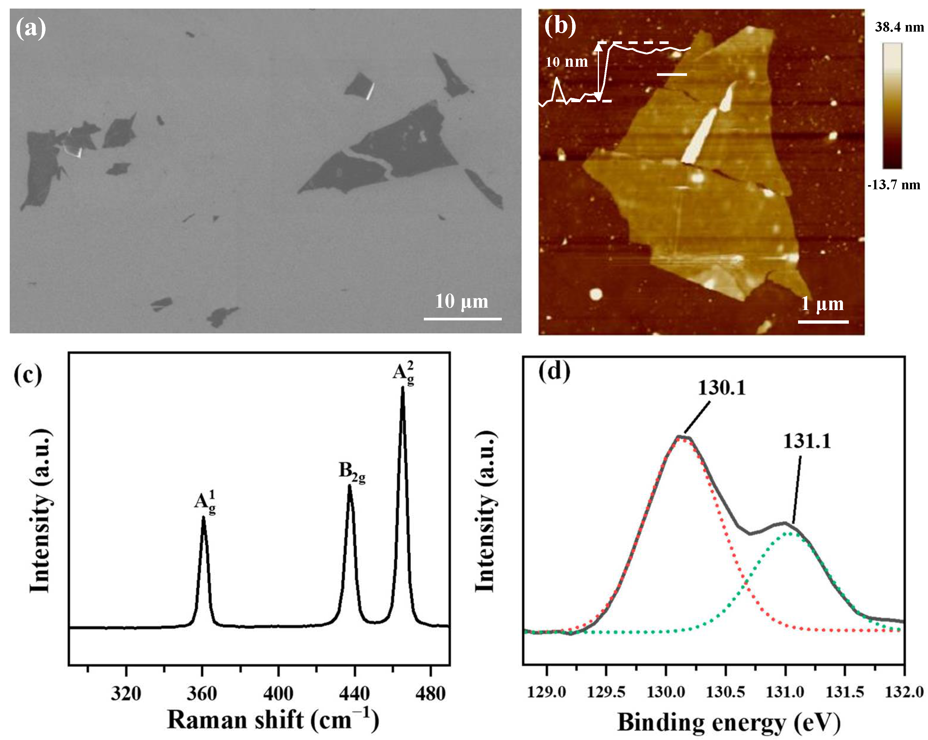 Nanomaterials 13 02607 g001