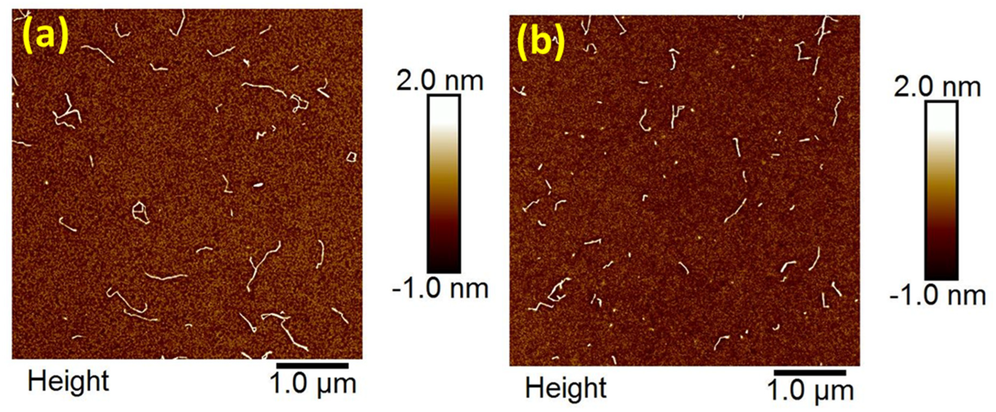 Nanomaterials 13 02611 g003