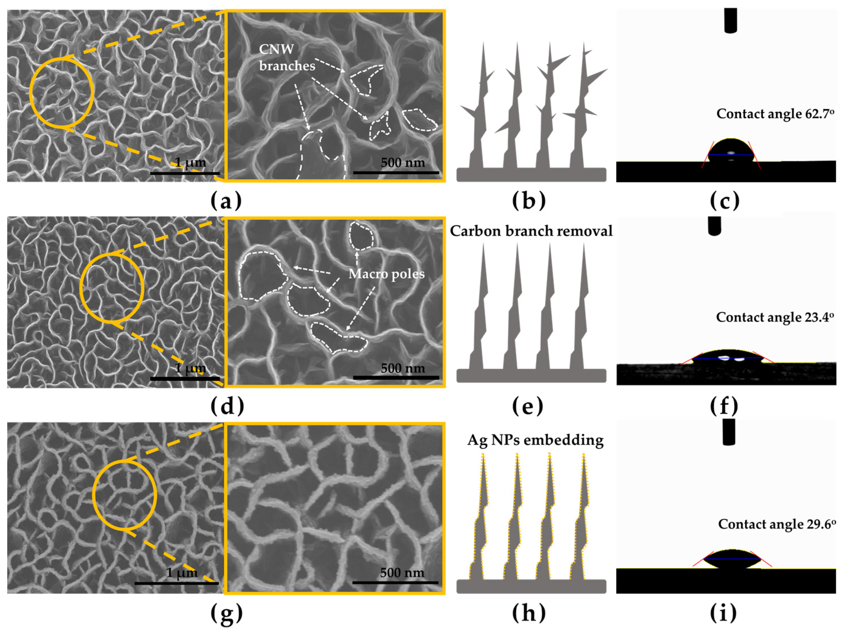 Nanomaterials 13 02617 g002