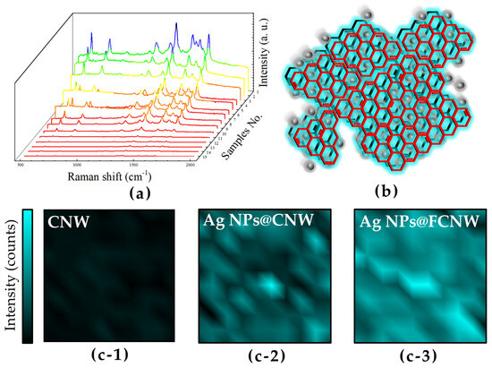 Surface-Enhanced Raman Spectroscopy (SERS) Investigation of a 3D ...