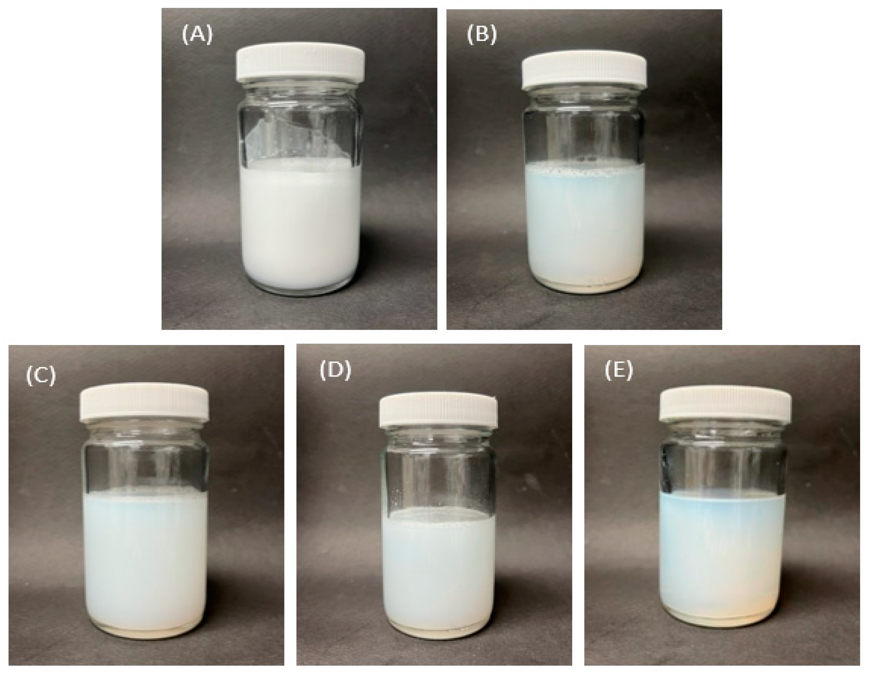 Nanomaterials 13 02618 g001