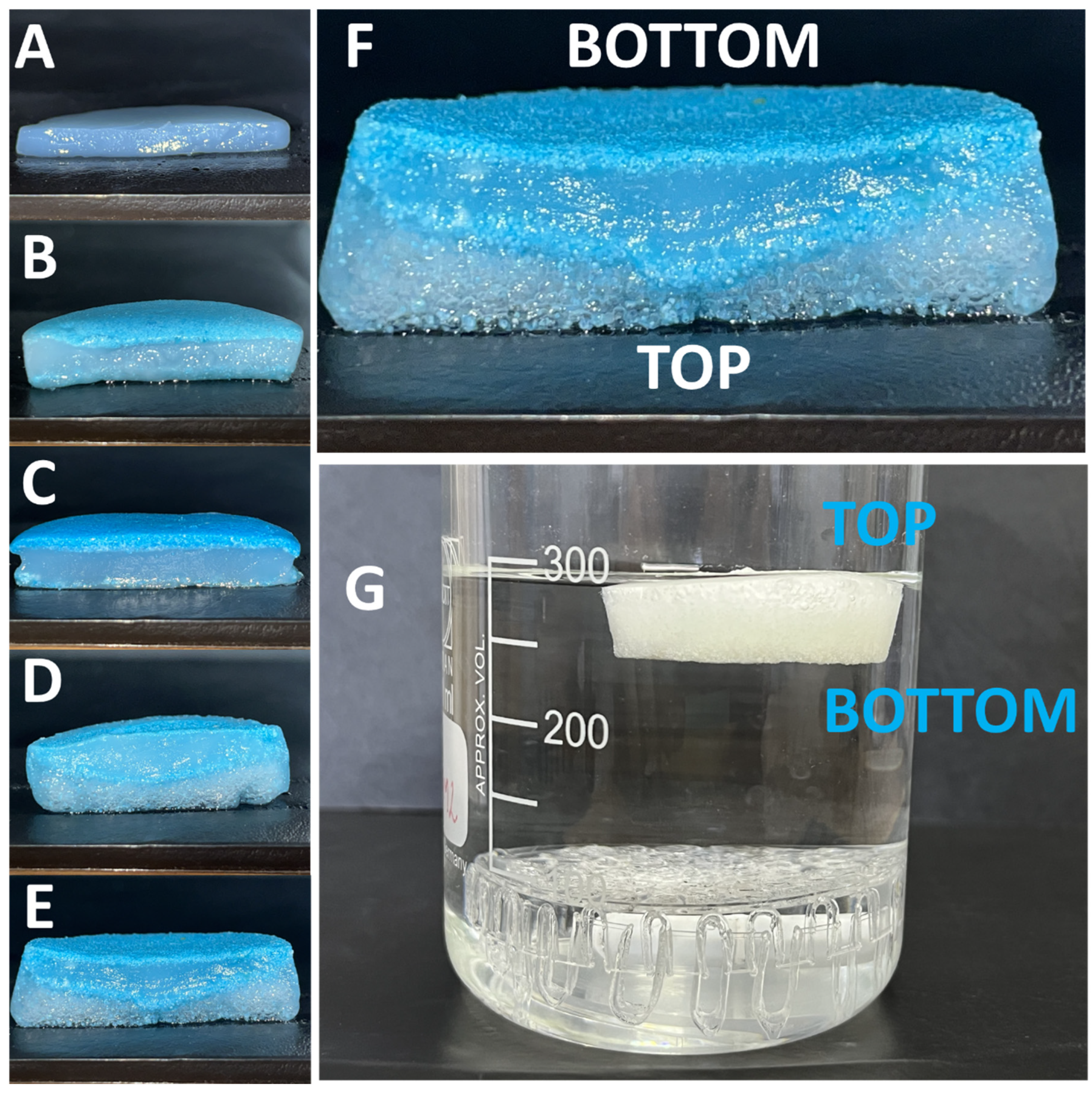 Nanomaterials 13 02619 g003
