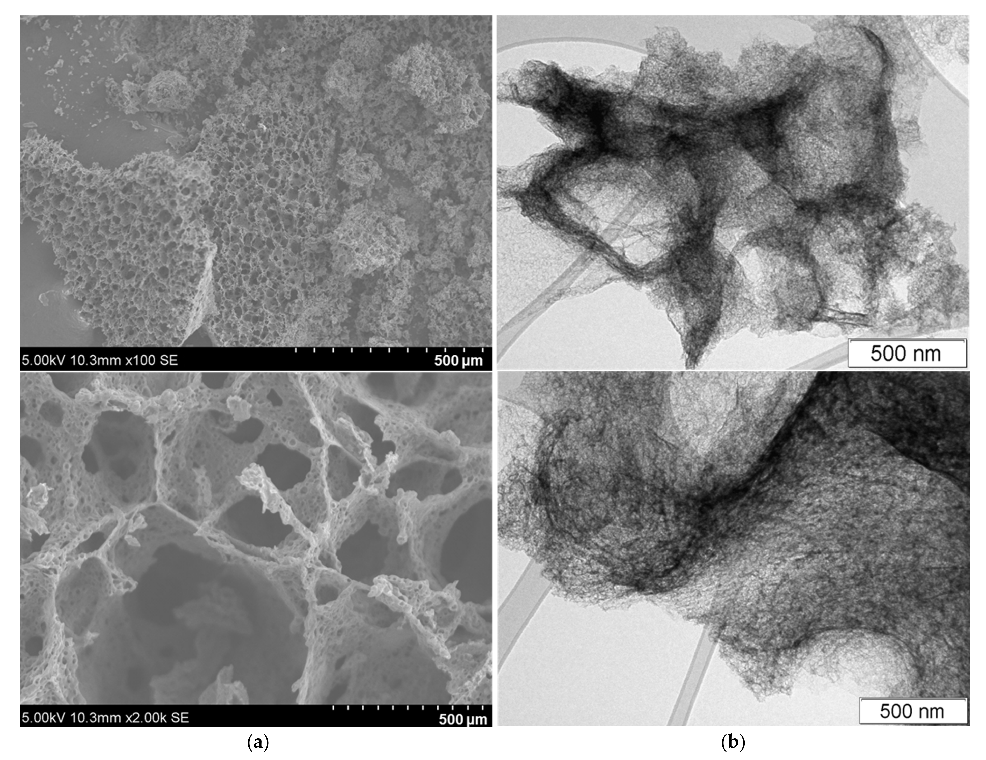 Nanomaterials 13 02623 g002