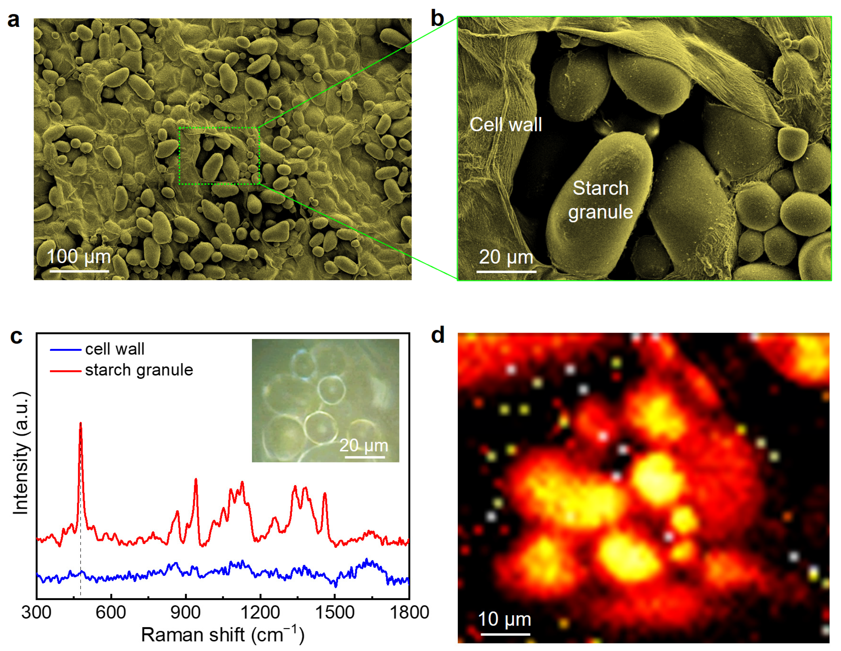 Nanomaterials 13 02626 g001
