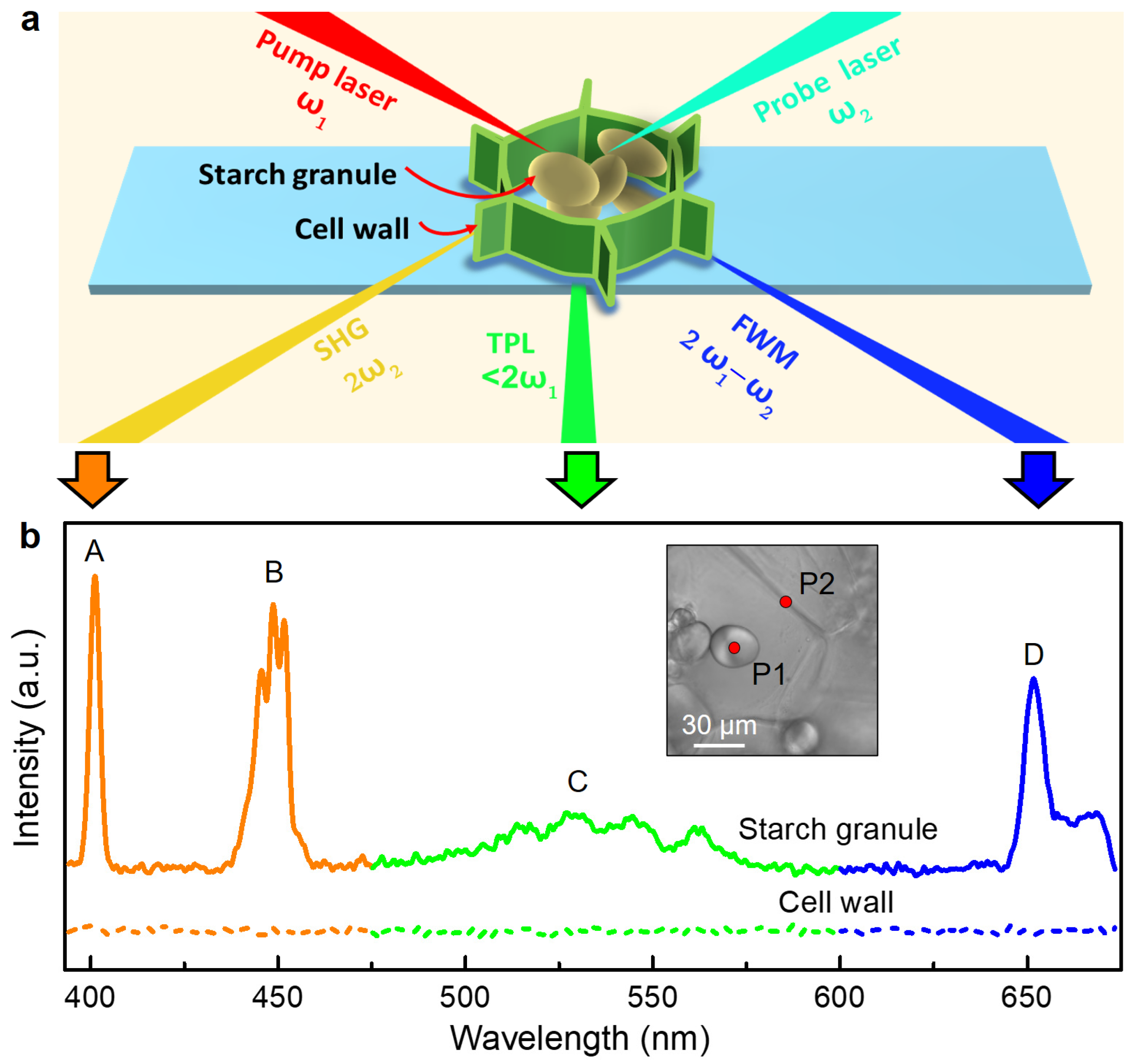 Nanomaterials 13 02626 g002