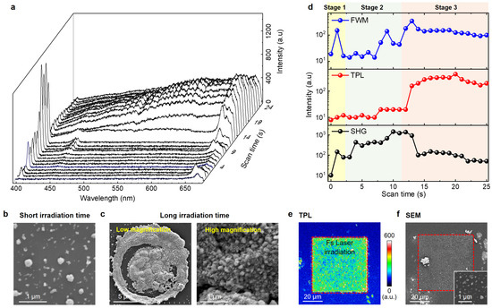 Simultaneous 3D Construction and Imaging of Plant Cells Using Plasmonic ...