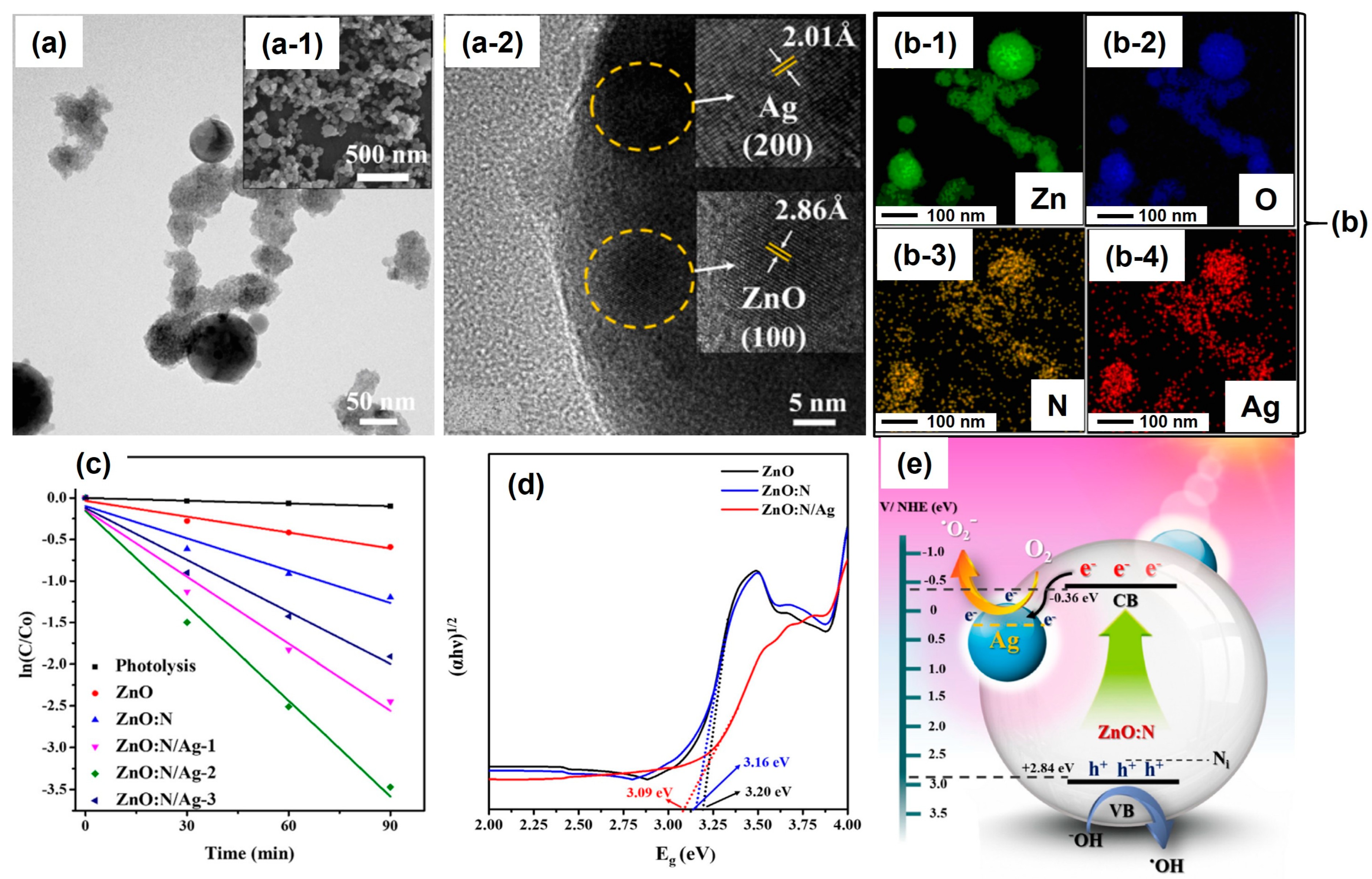 Nanomaterials 13 02628 g005