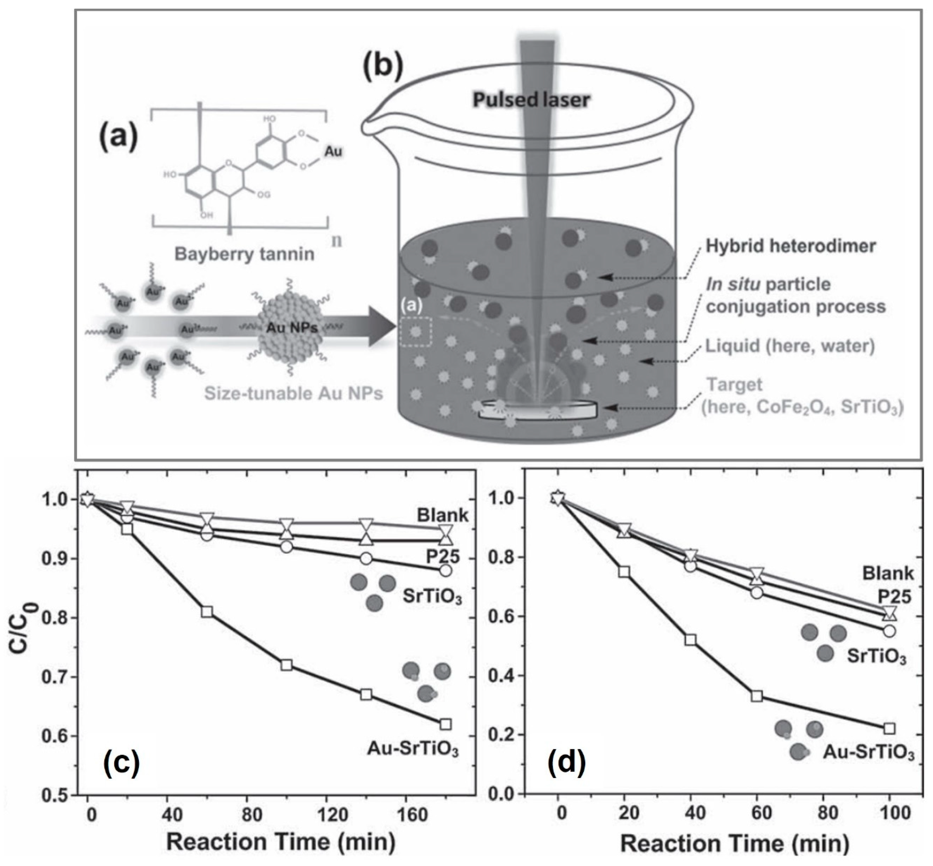 Nanomaterials 13 02628 g006
