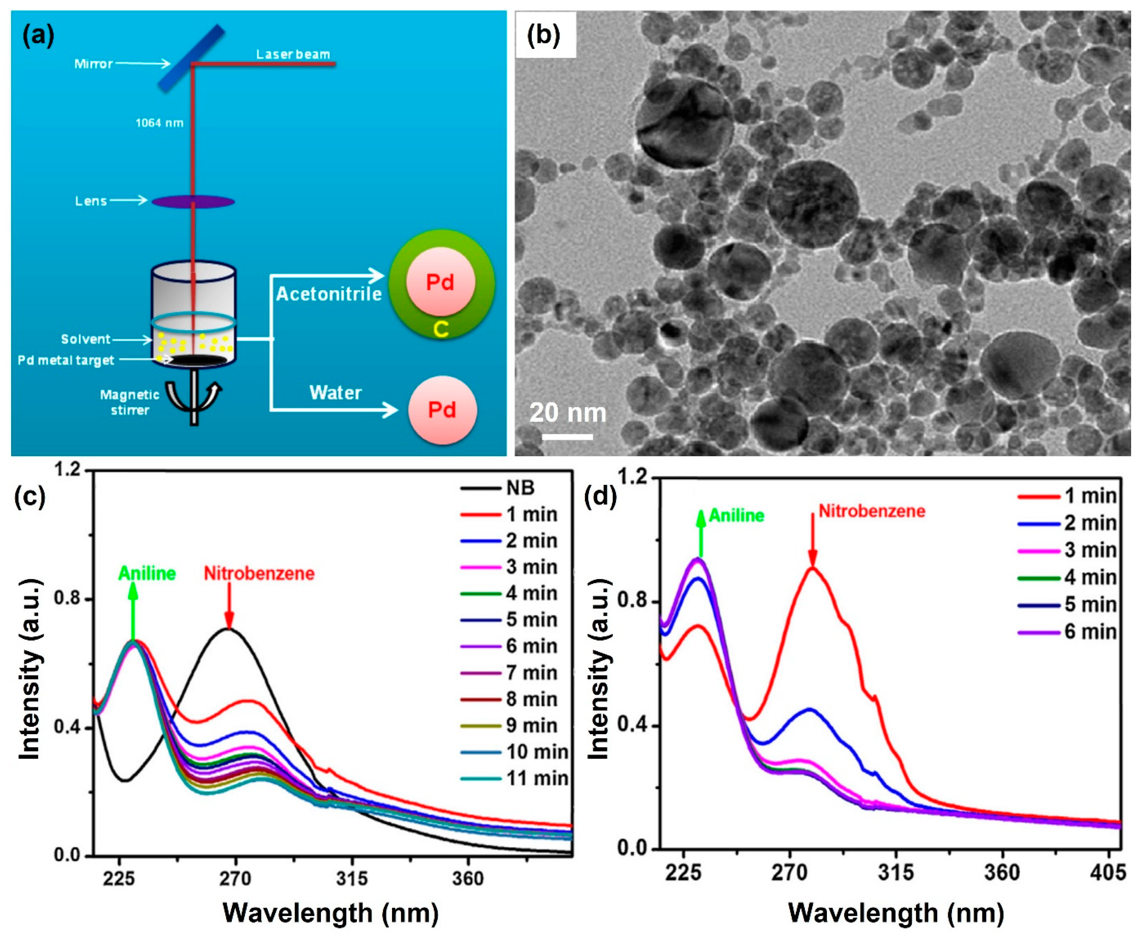 Nanomaterials 13 02628 g007