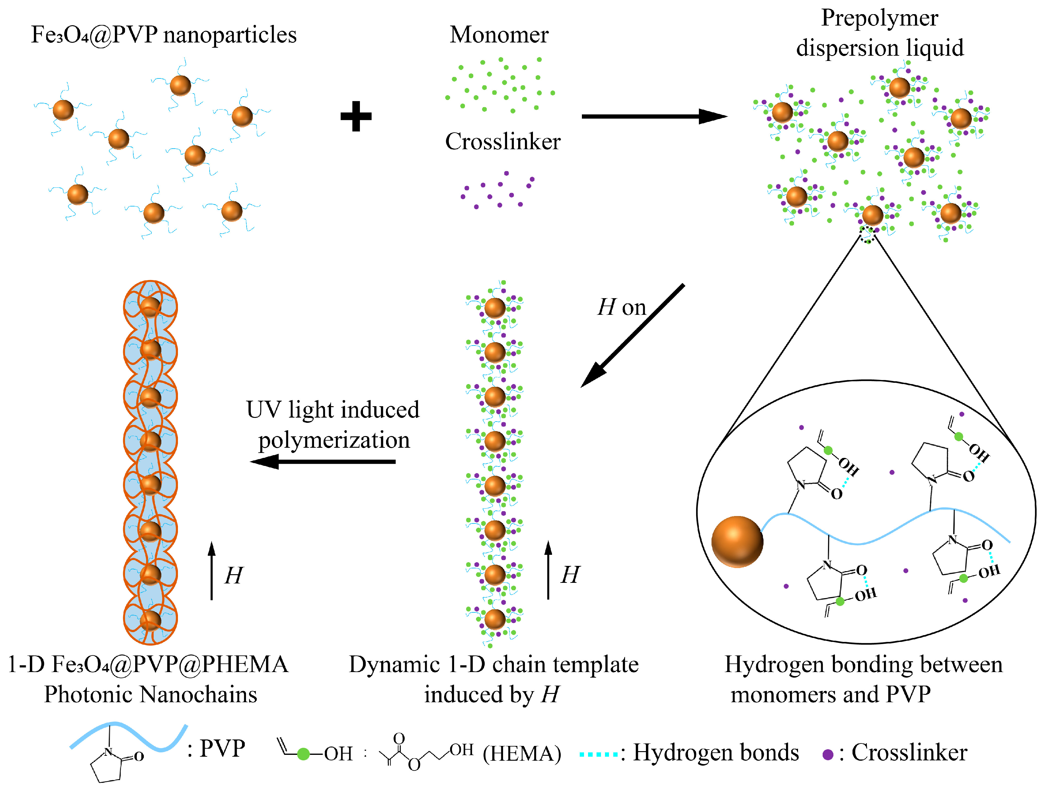 Nanomaterials 13 02632 g001