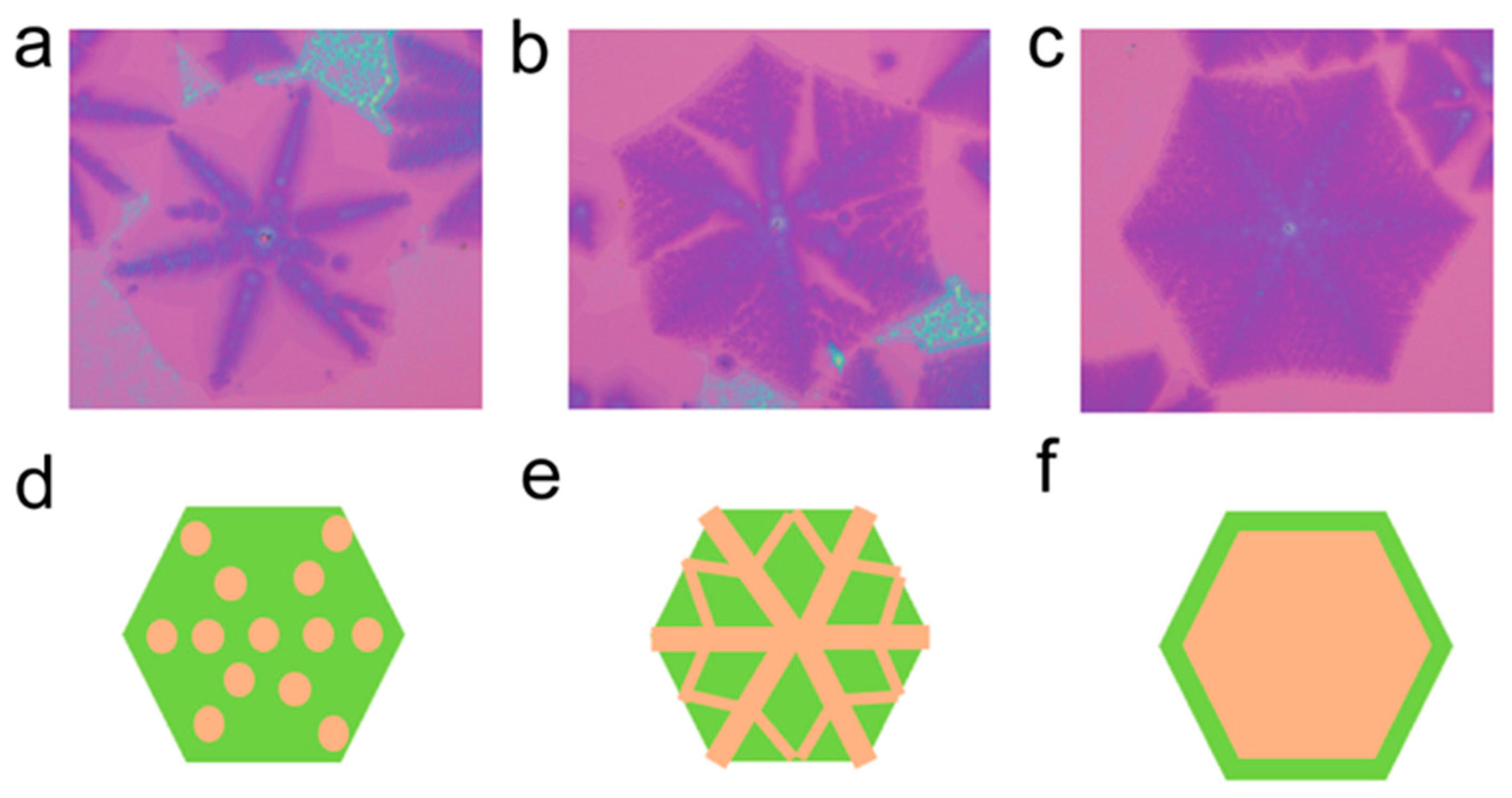 Controllable Synthesis and Growth Mechanism of Interlayer