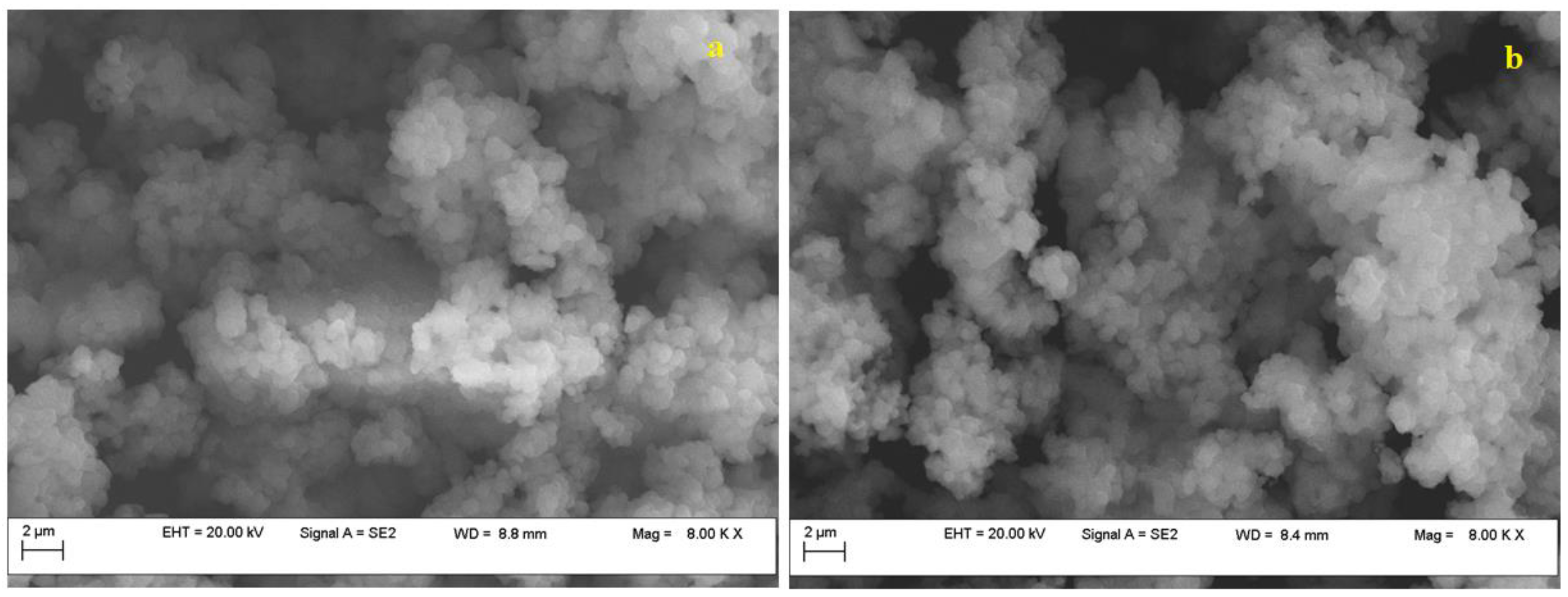 Nanomaterials 13 02637 g004