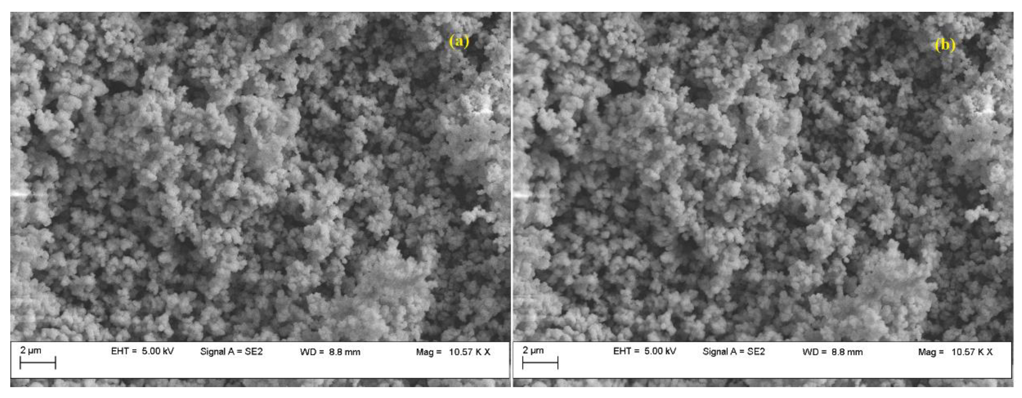 Nanomaterials 13 02637 g008