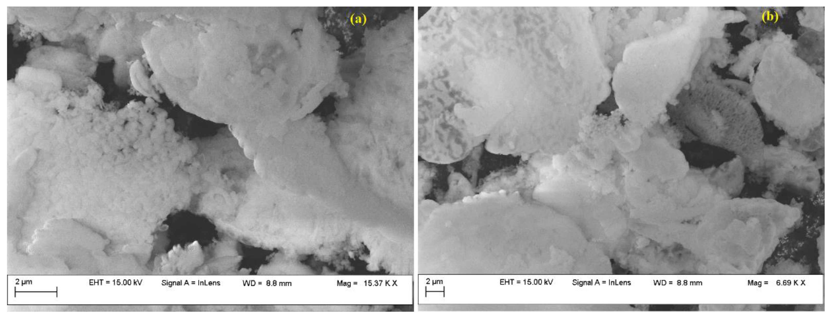 Nanomaterials 13 02637 g012