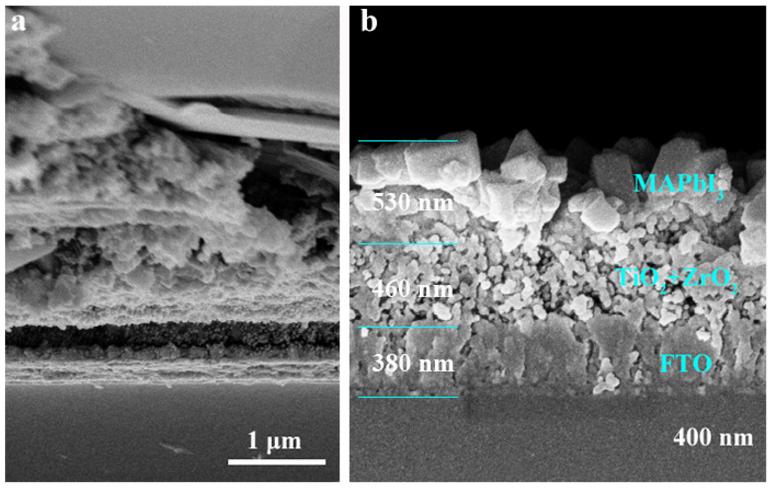 Nanomaterials 13 02640 g003
