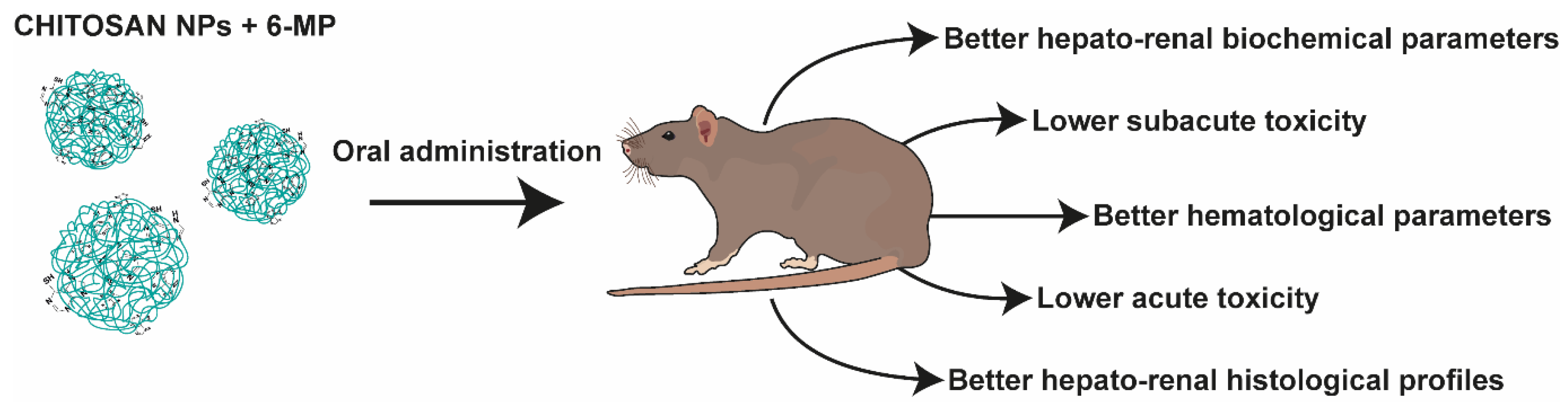 Nanomaterials 13 02647 g005