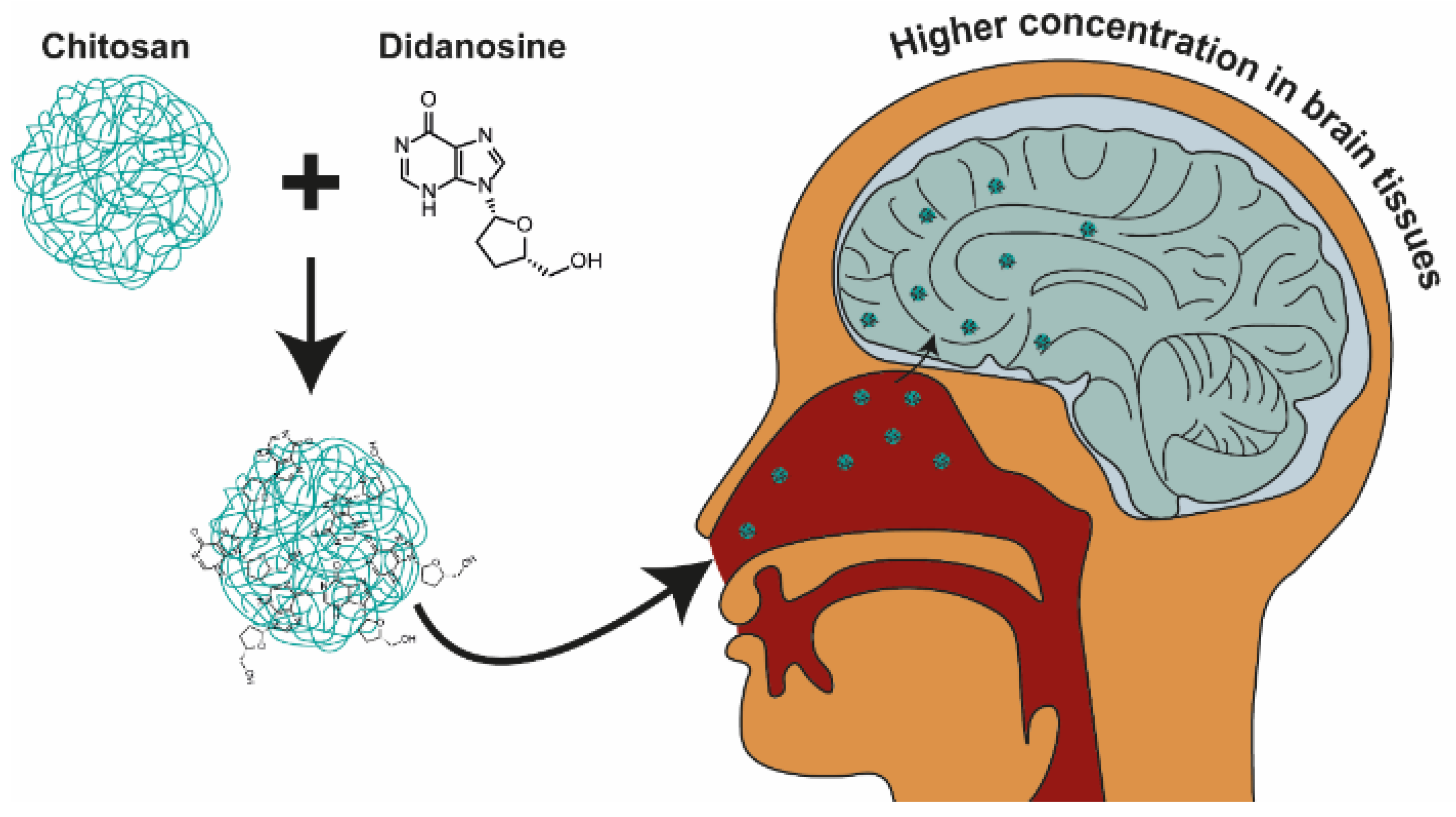 Nanomaterials 13 02647 g007