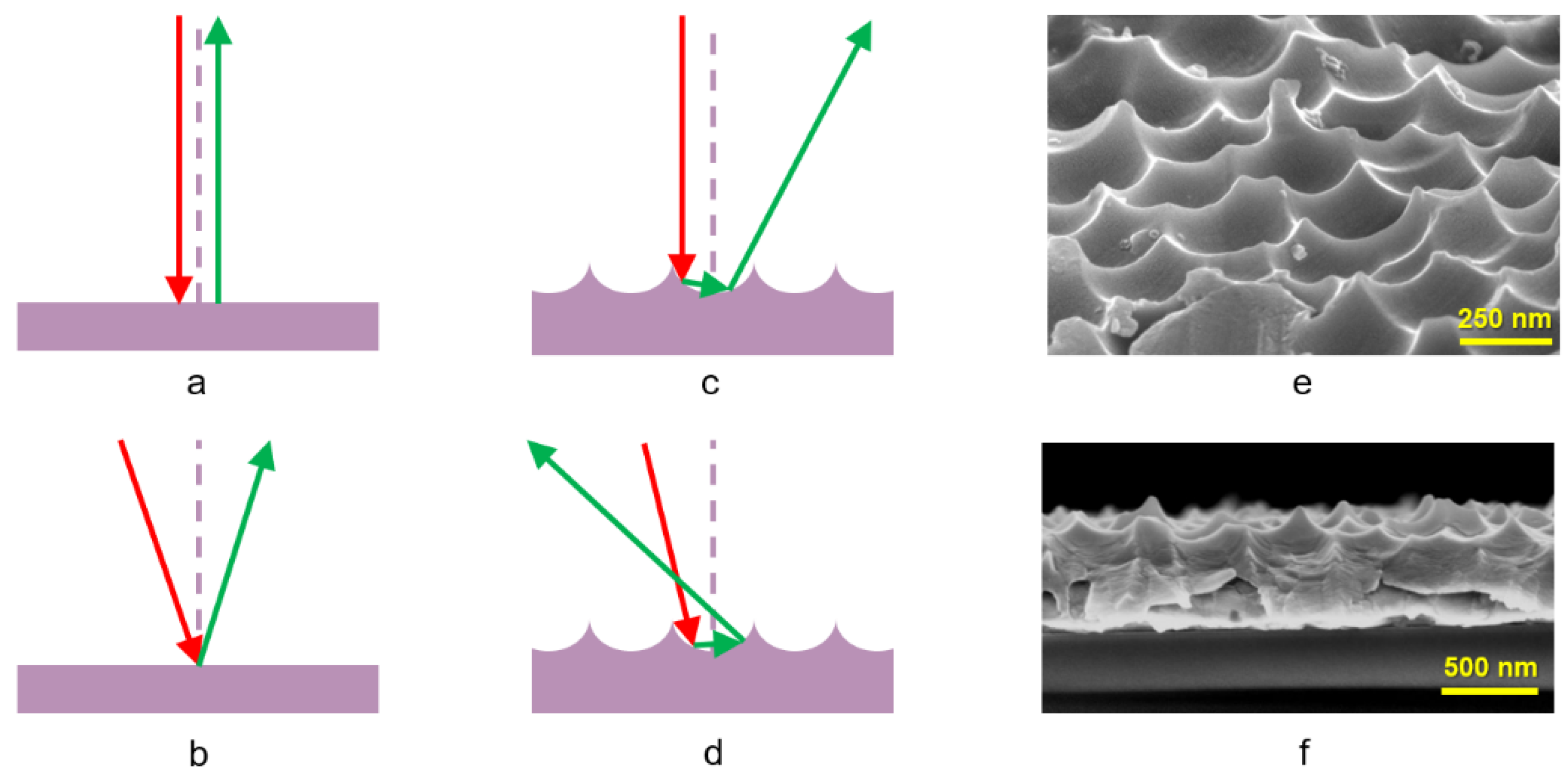 Nanomaterials 13 02650 g001