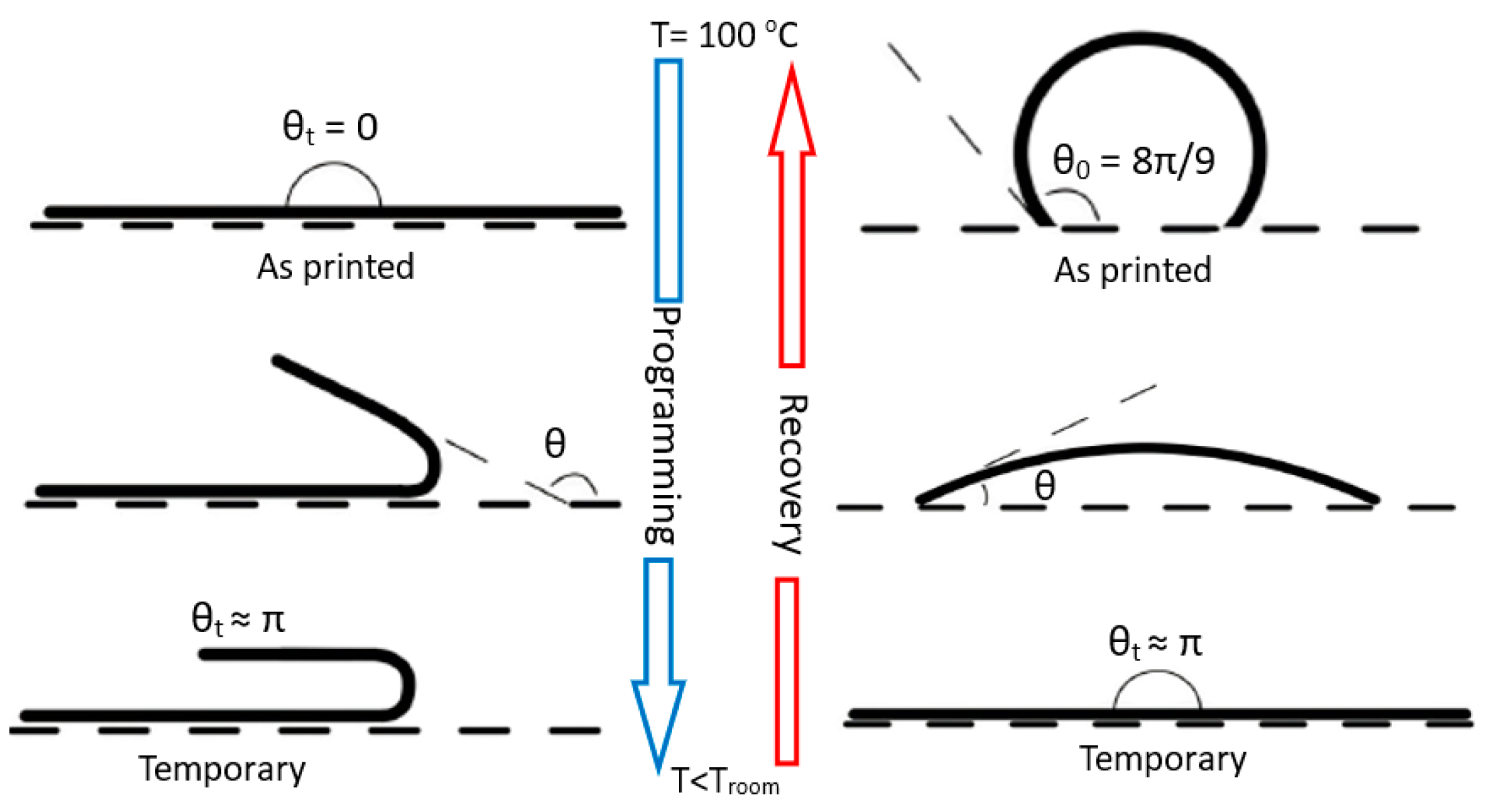Nanomaterials 13 02658 g002