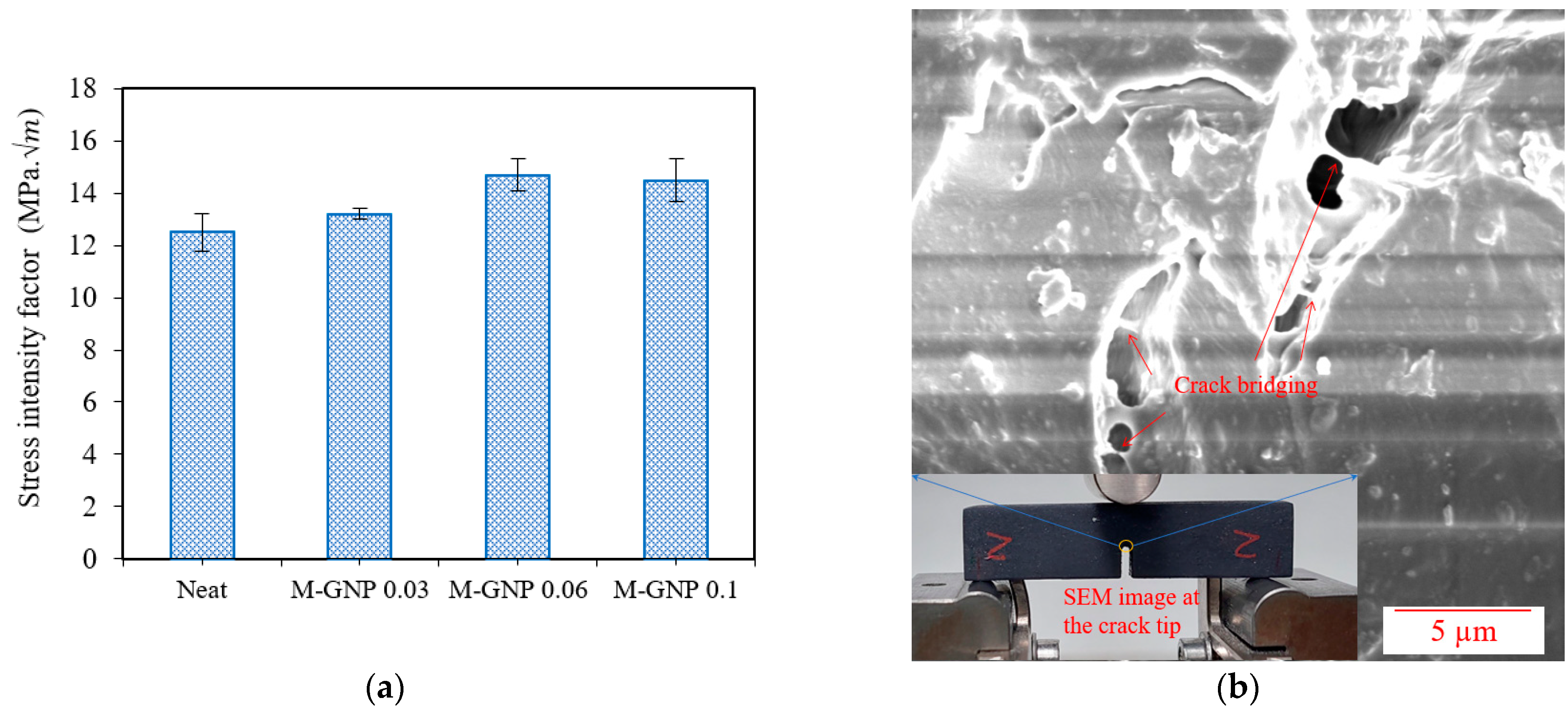 Nanomaterials 13 02658 g007
