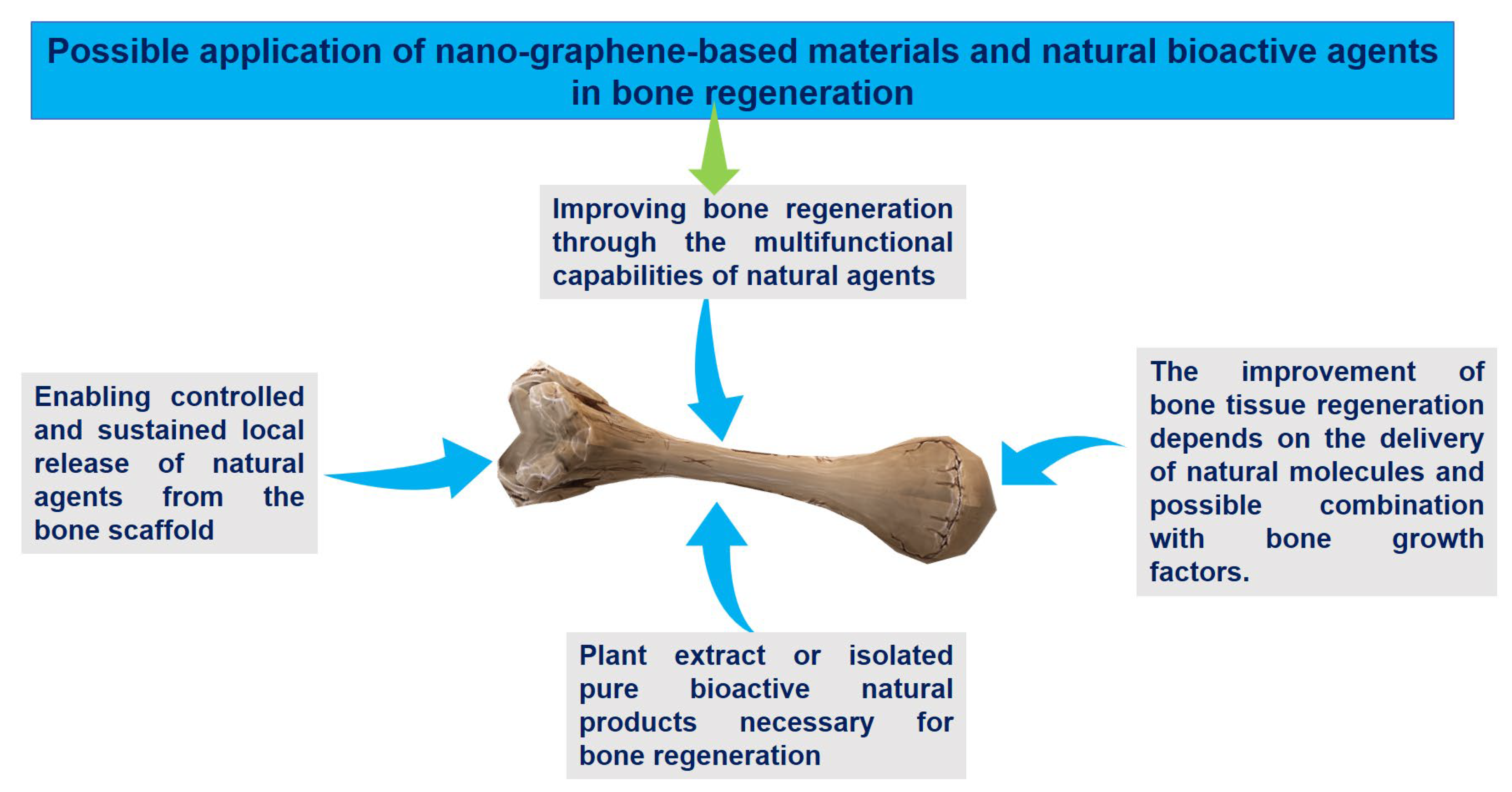 Nanomaterials 13 02666 g008