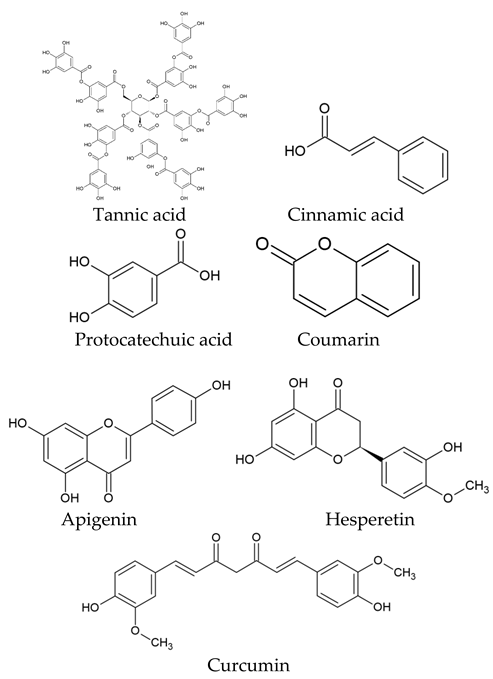 Nanomaterials 13 02666 i002