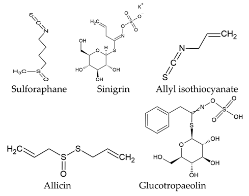 Nanomaterials 13 02666 i004