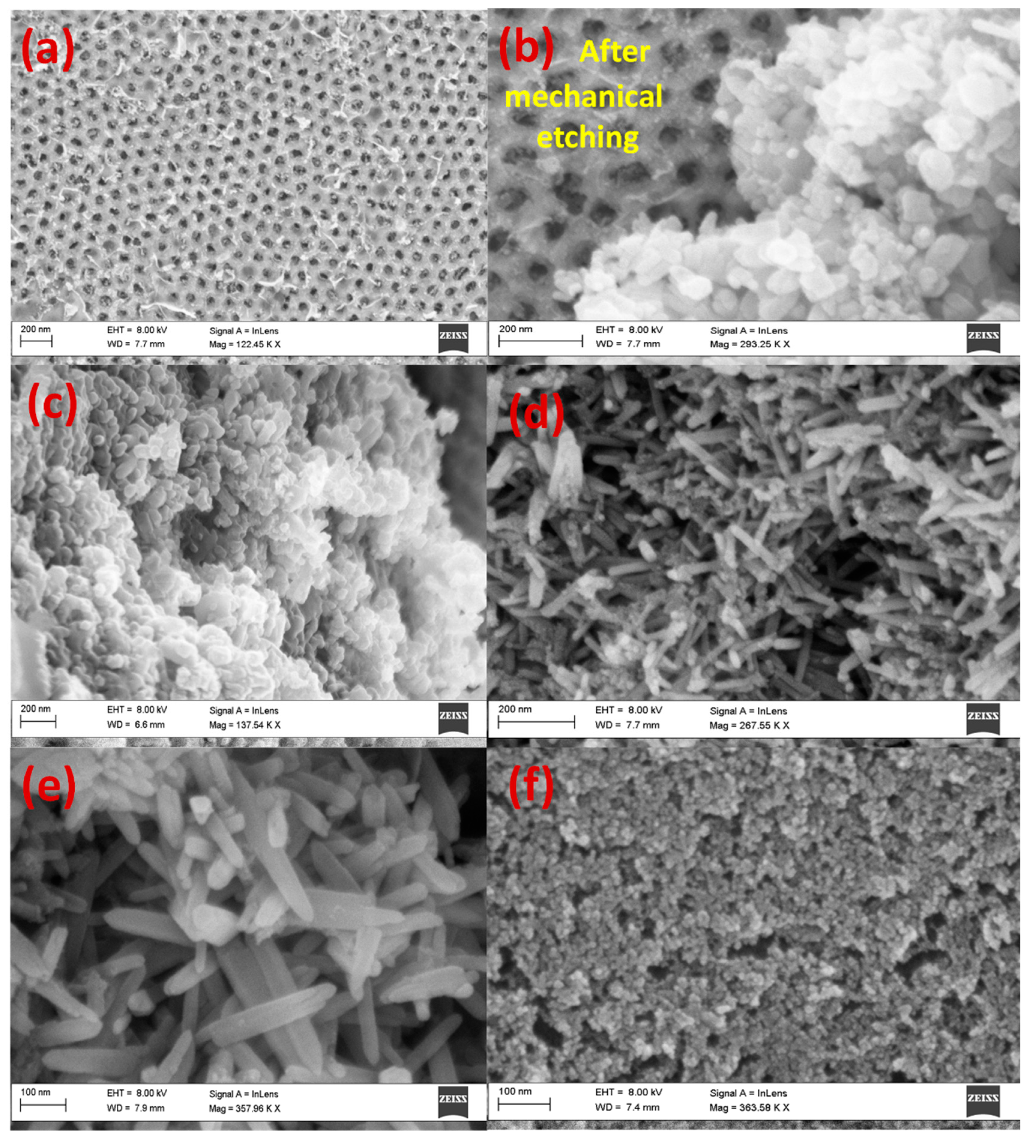 Nanomaterials 13 02667 g006