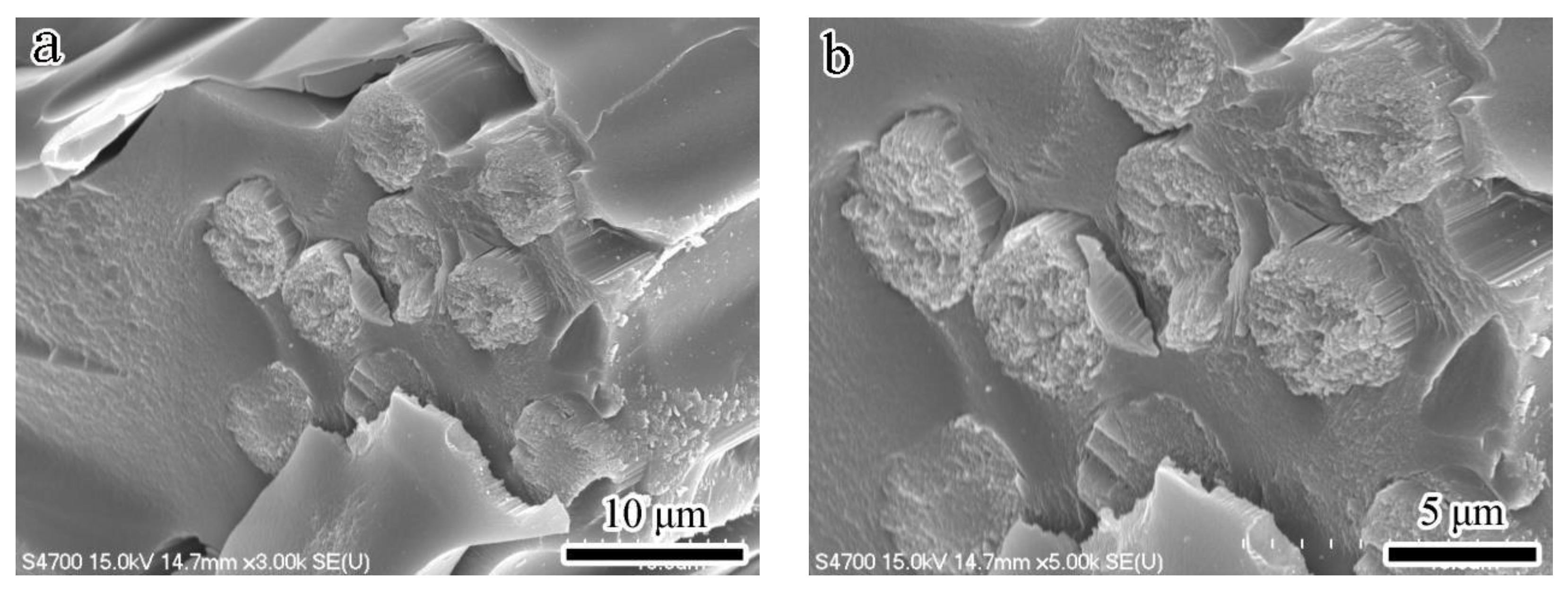 Nanomaterials 13 02686 g004a Nanomaterials 13 02686 g004a